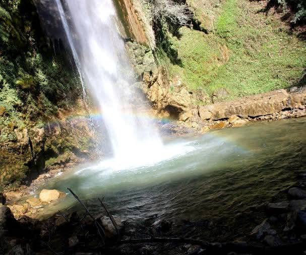 Peaceful Surroundings