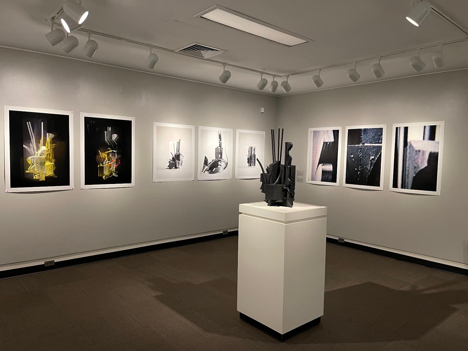 Binghamton University Art Museum - Image 1