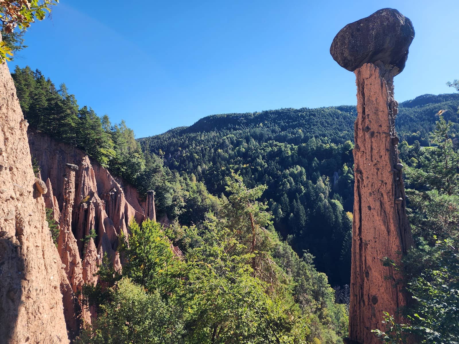Vertical photo