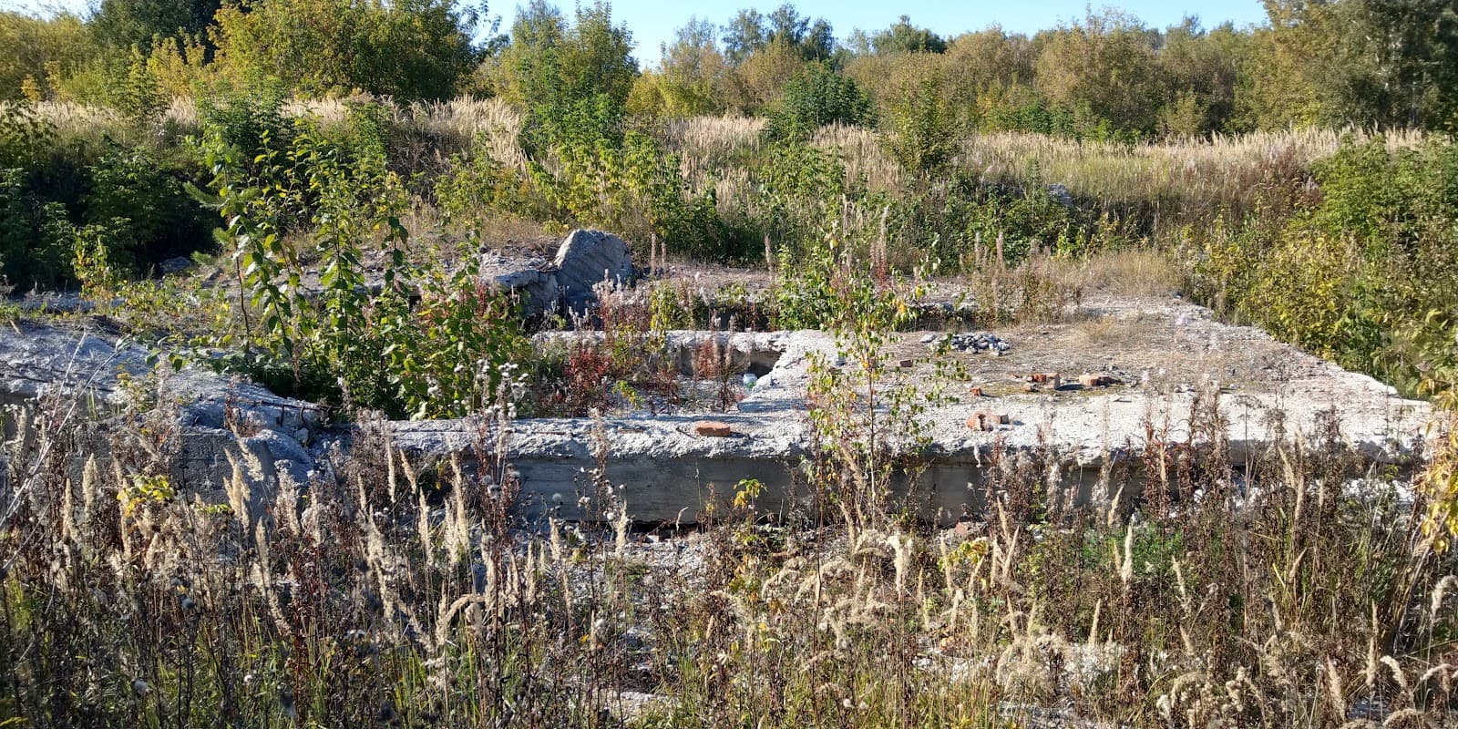 Sungir Paleolithic Site Russia - Image 1