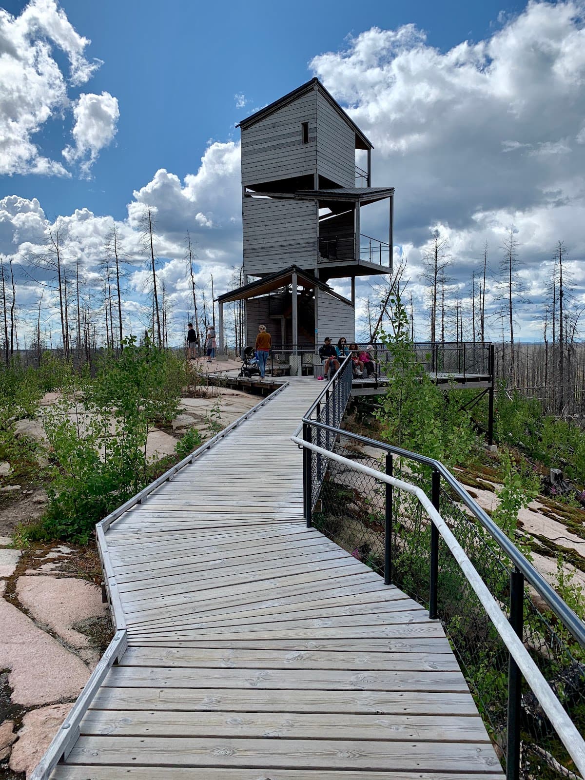 Hälleskogsbrännan Nature Reserve - Image 1