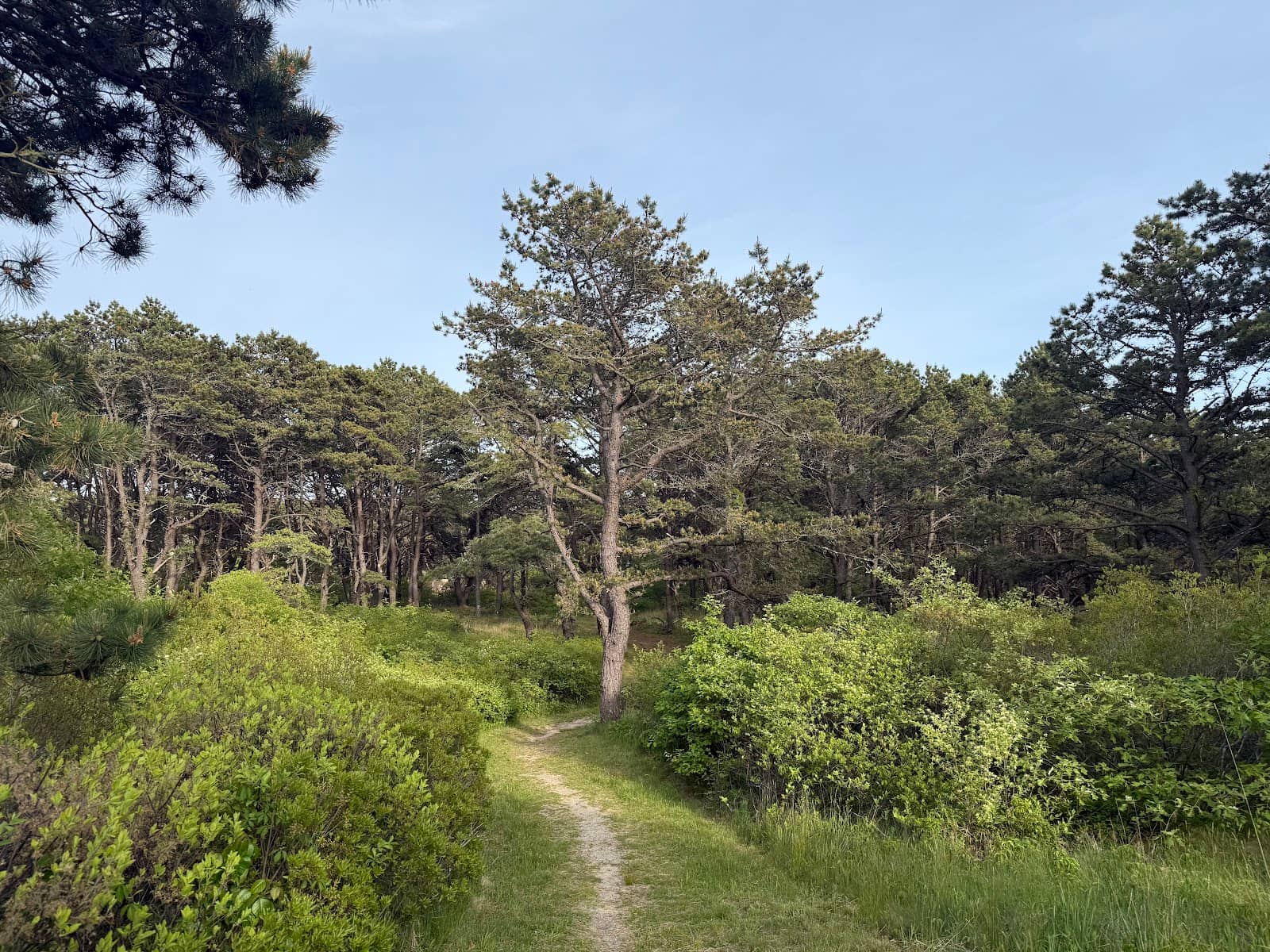 Challenging Terrain