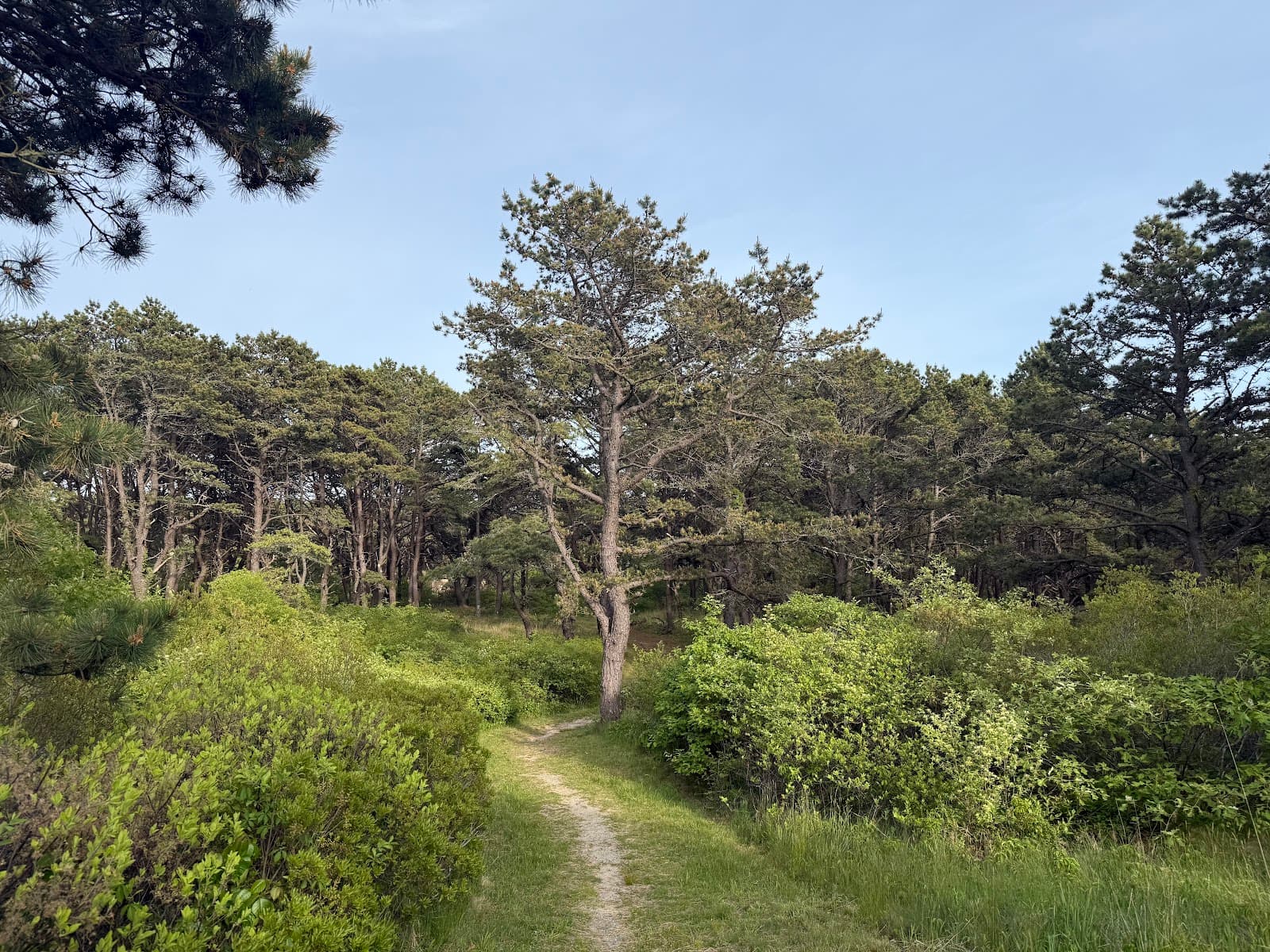 Pilgrim Heights - Image 1