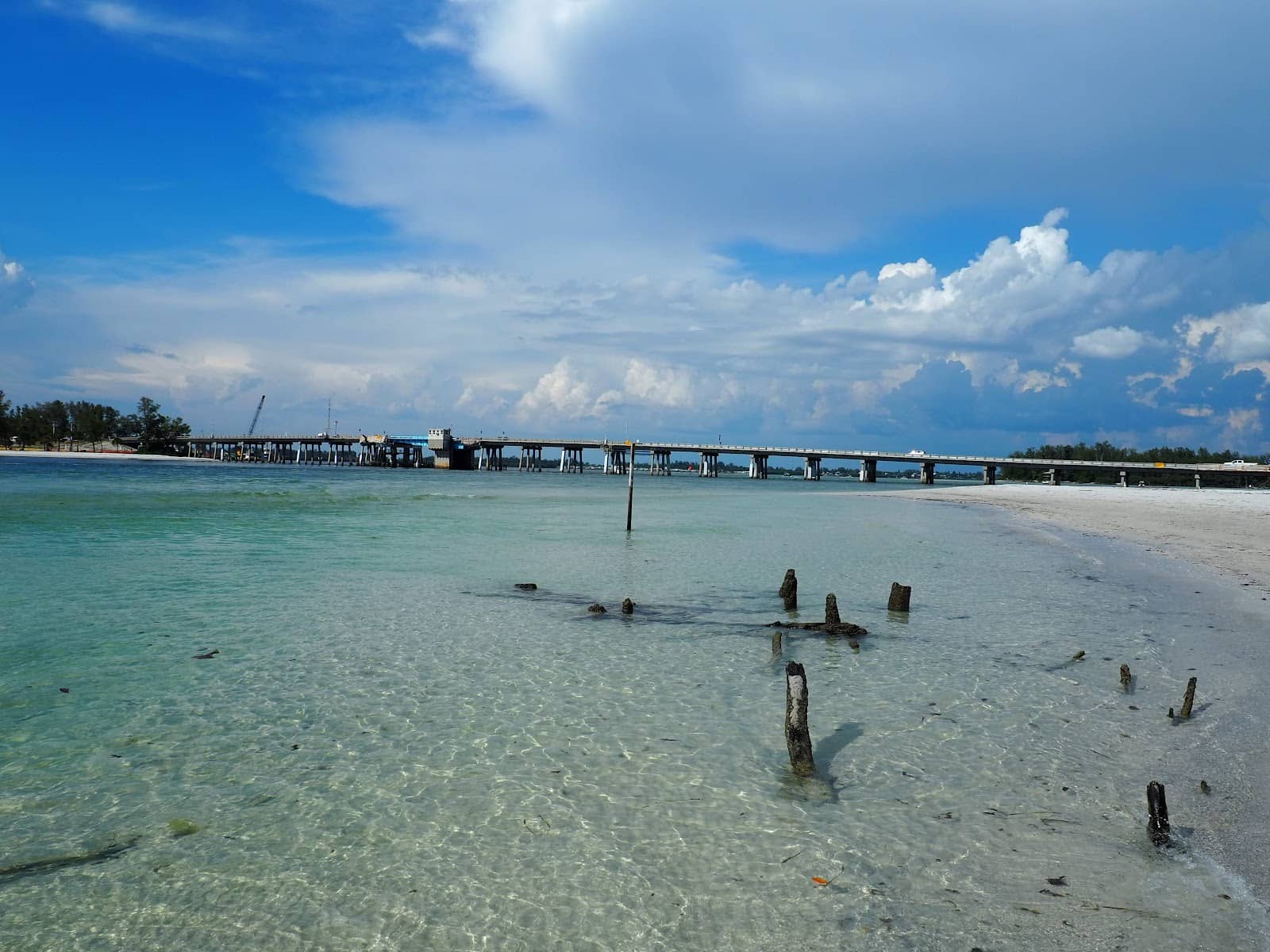 Scenic Views & Wildlife