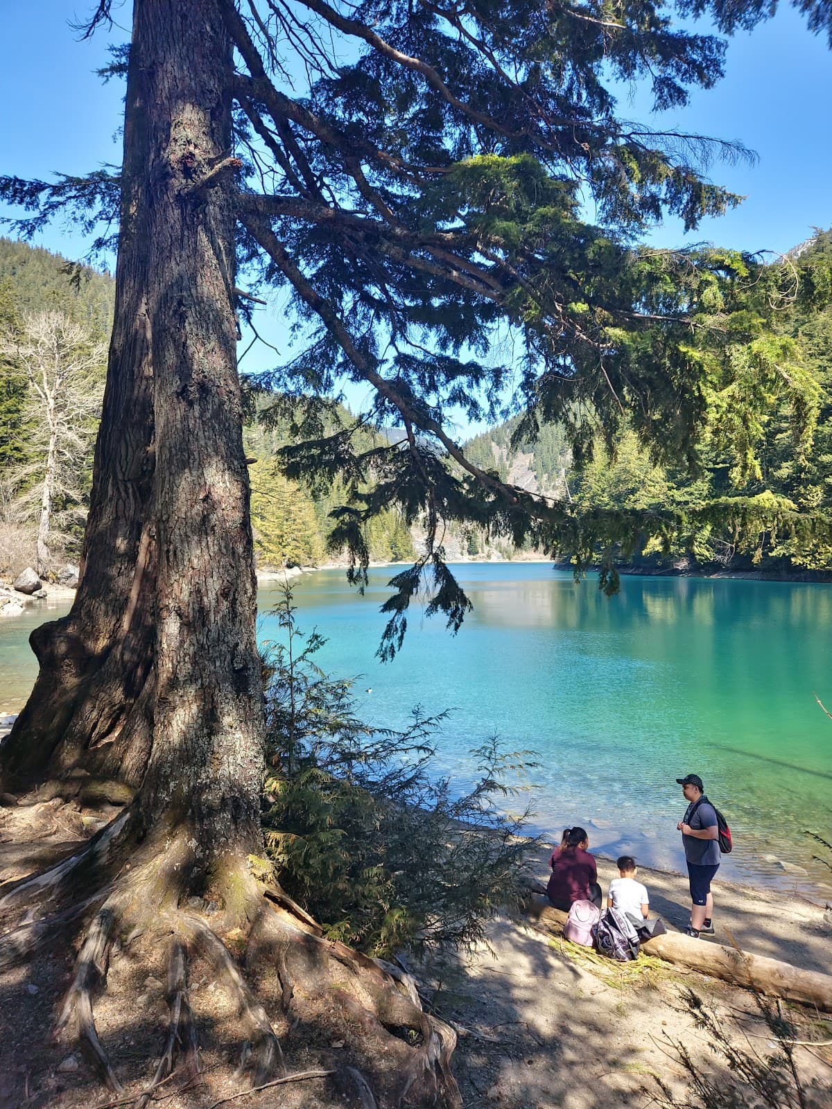 Mount Lehman - Image 1