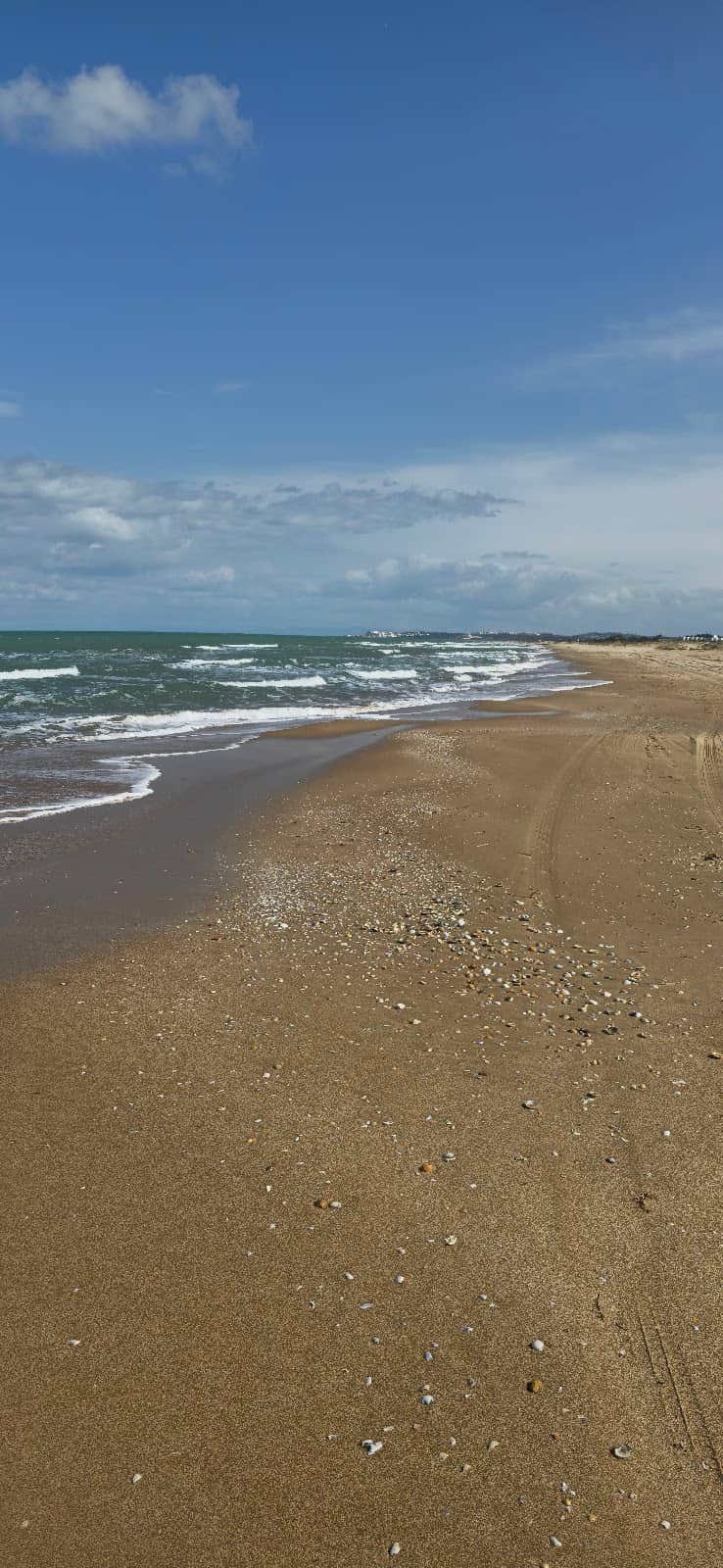 Coastal Scenery