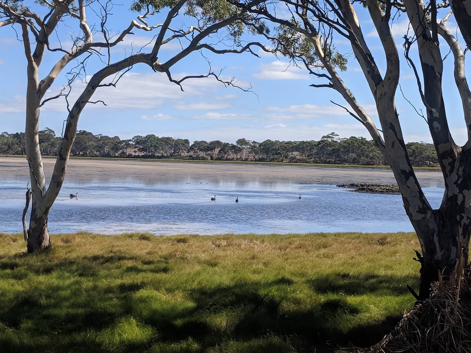 Serene Lake Setting