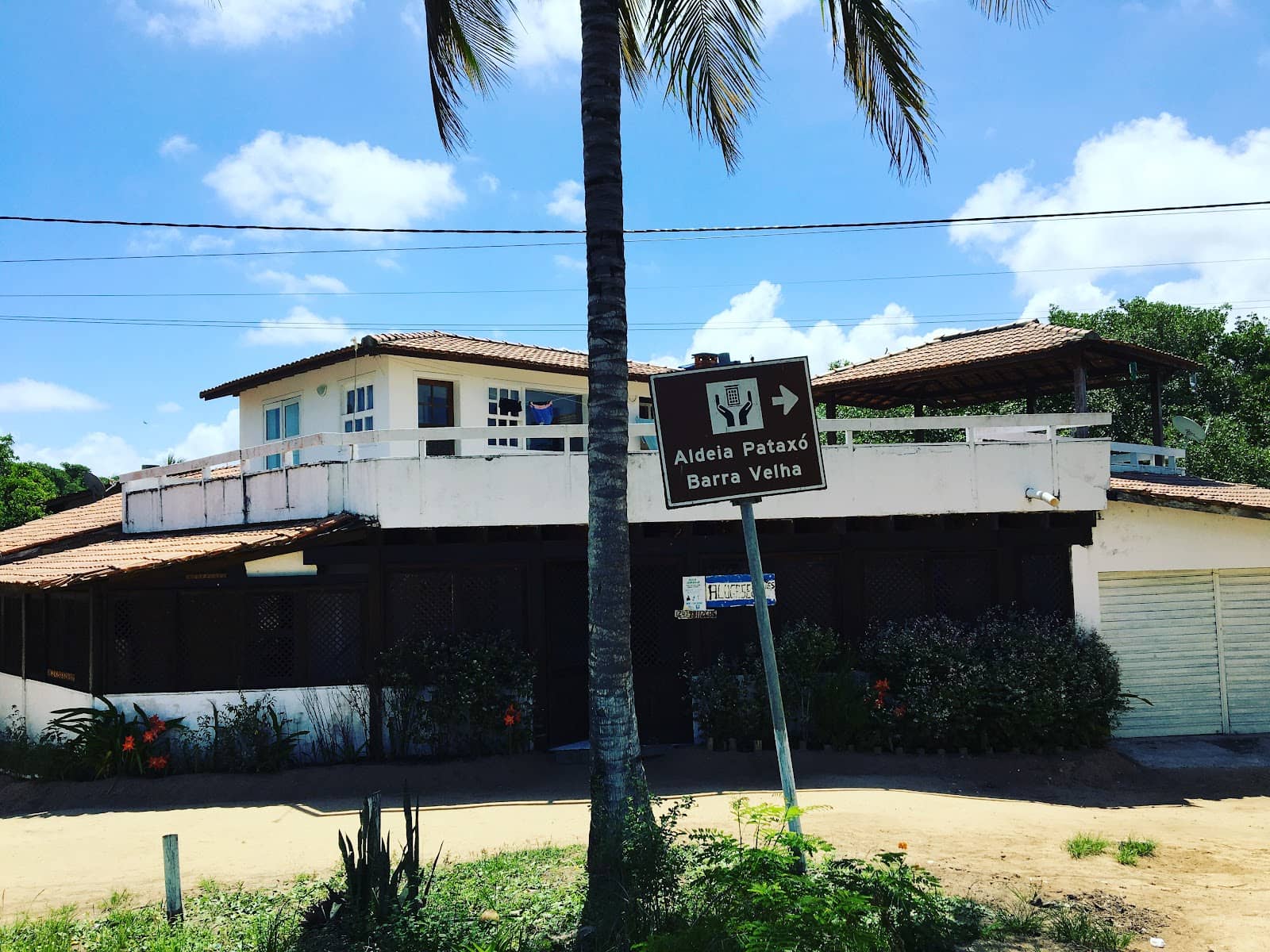 Whale Watching Opportunities