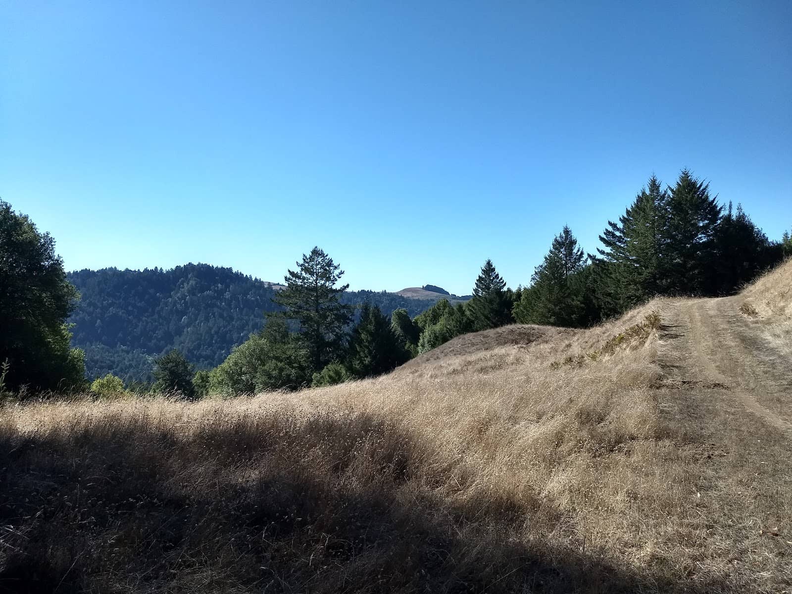 Pomo Canyon Campground Area