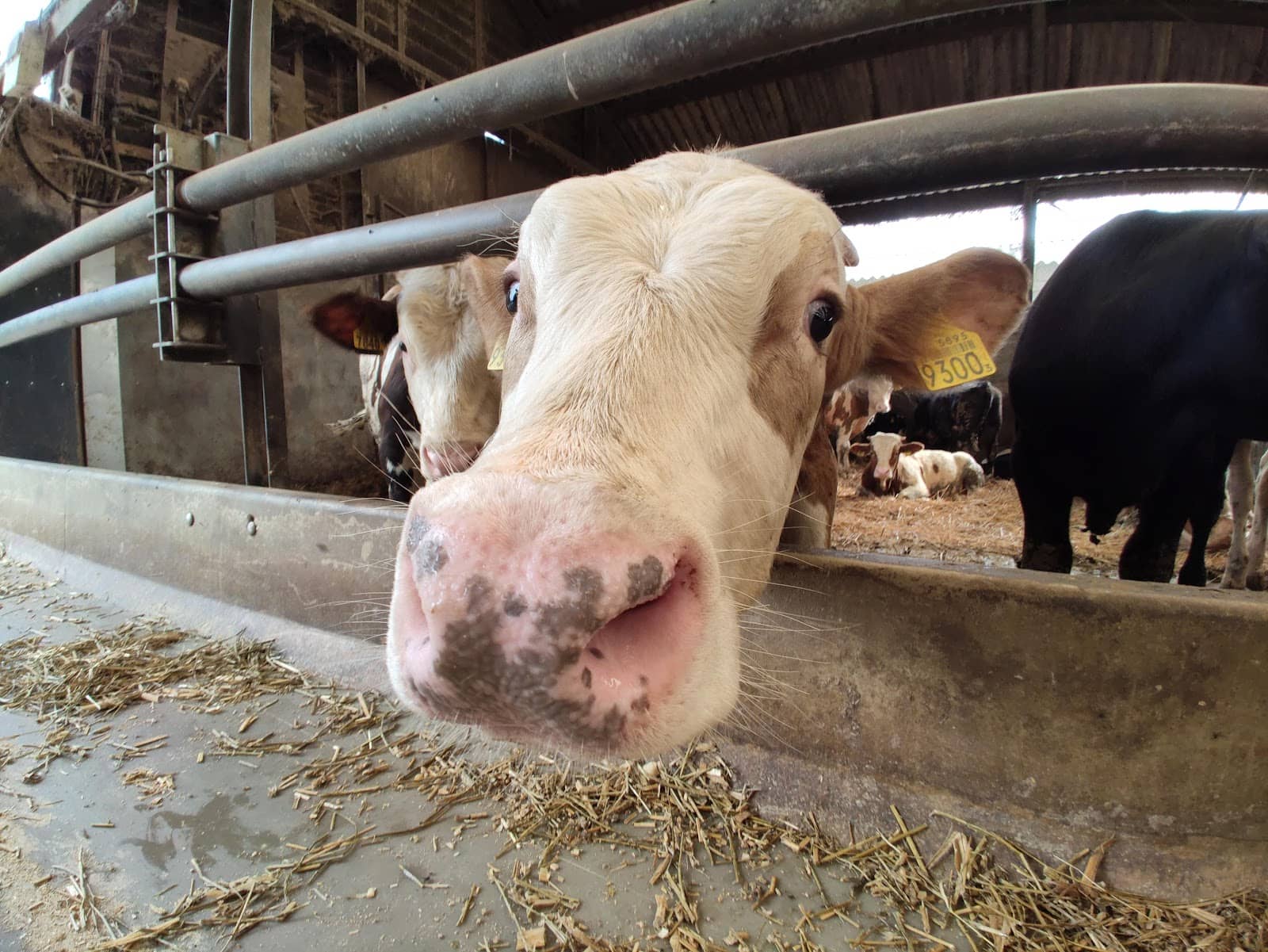 Organic Farming Practices