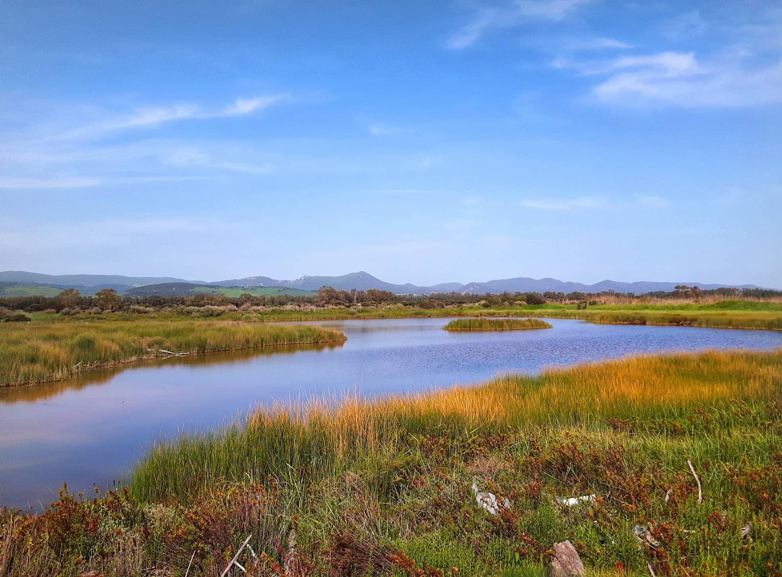 Encounter with Rangers