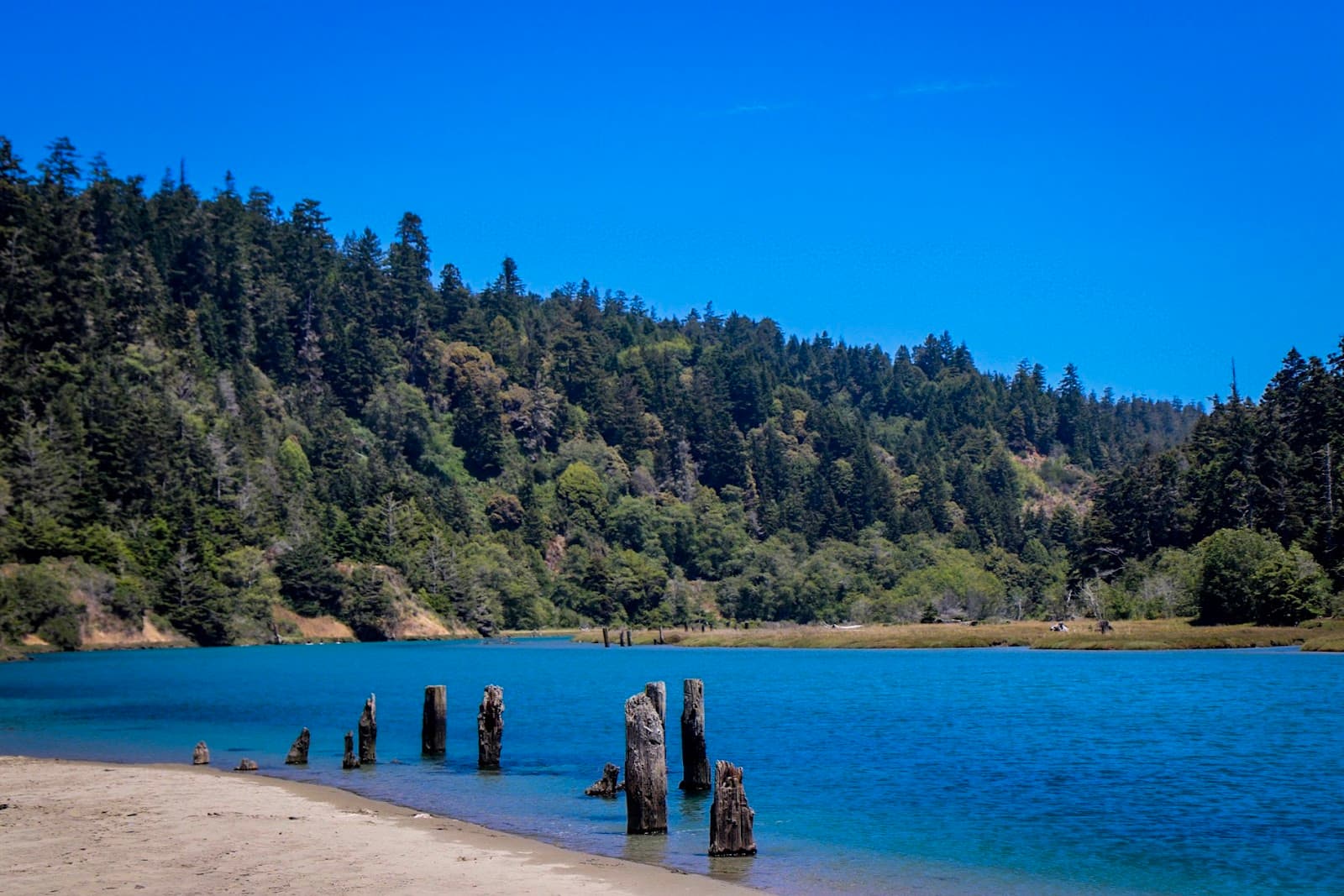 Big River Estuary - Image 1