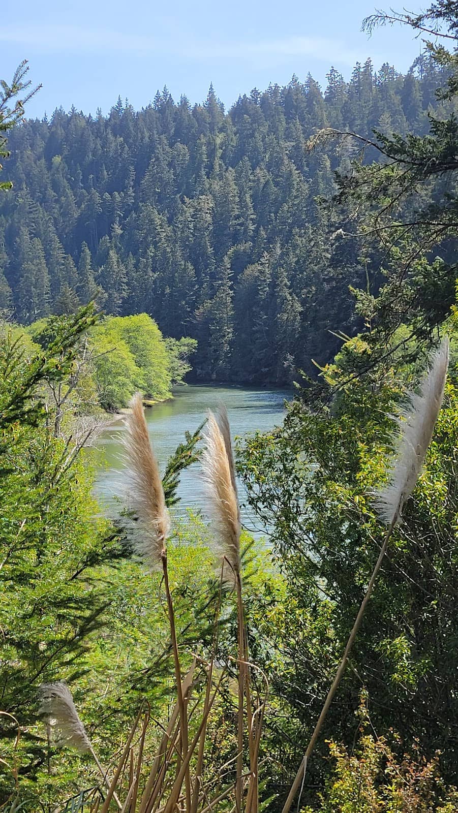 Vertical photo