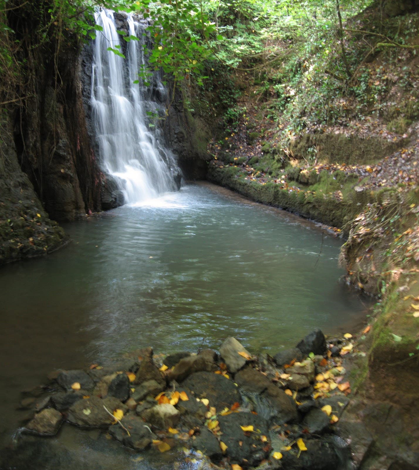 Parco di Veio - Image 1