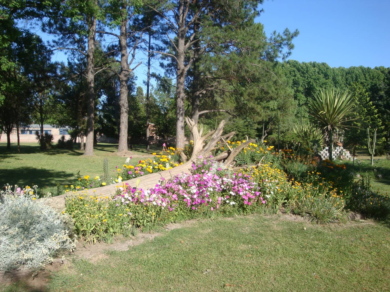 Spacious Family Gathering Spot