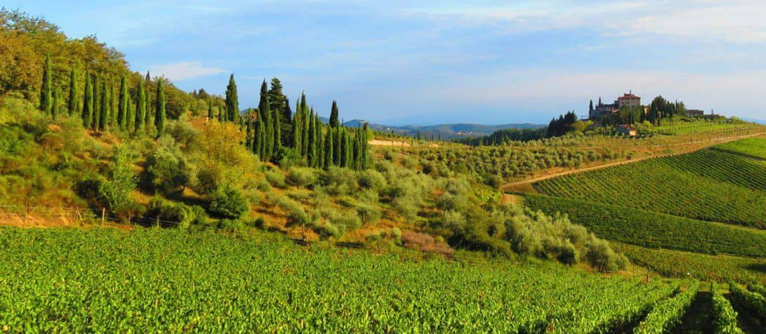 Strategic Exploration Hub