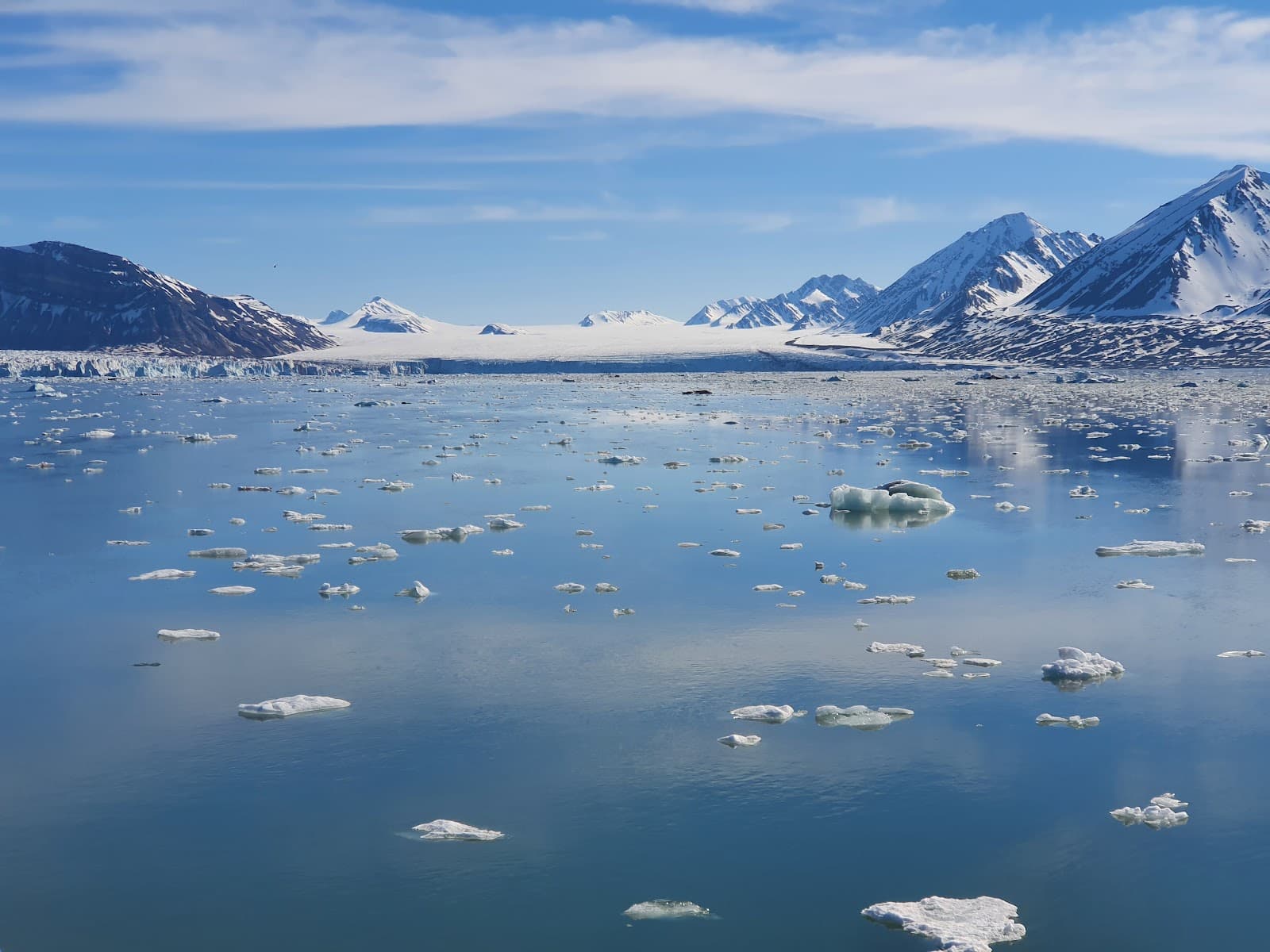 Kongsfjorden - Image 1