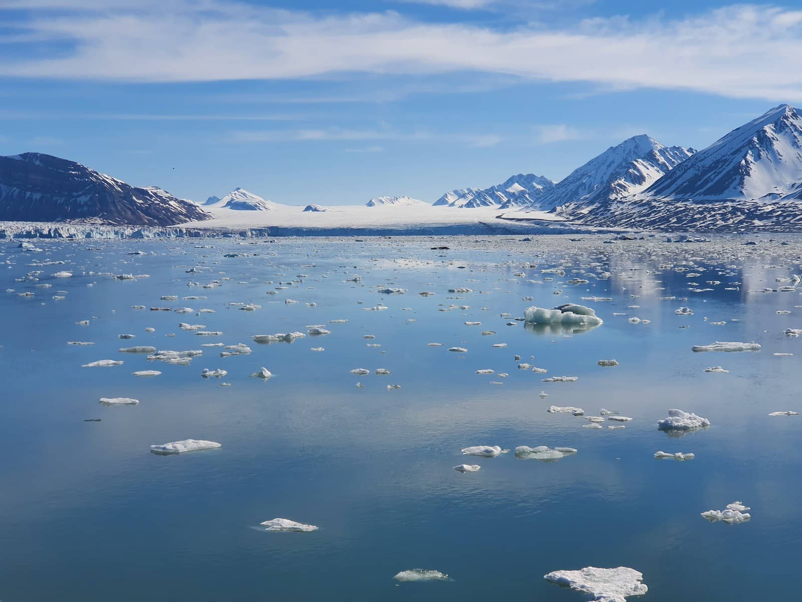 Diverse Arctic Wildlife