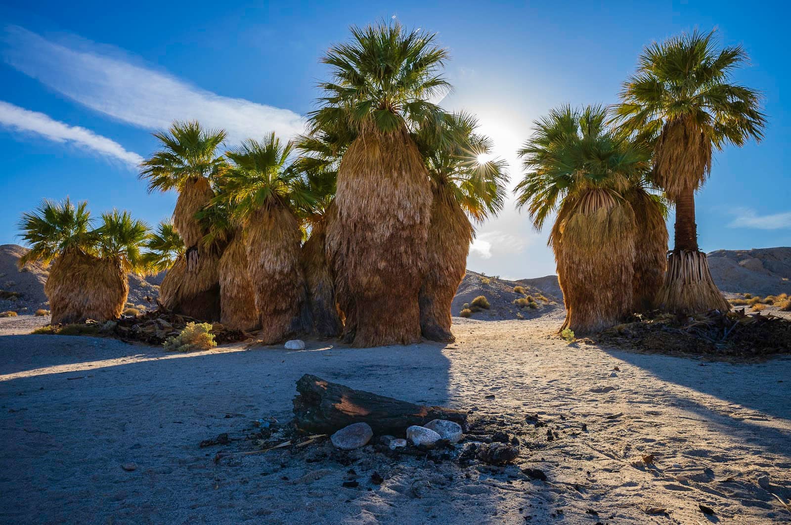 Hidden Post Office Box