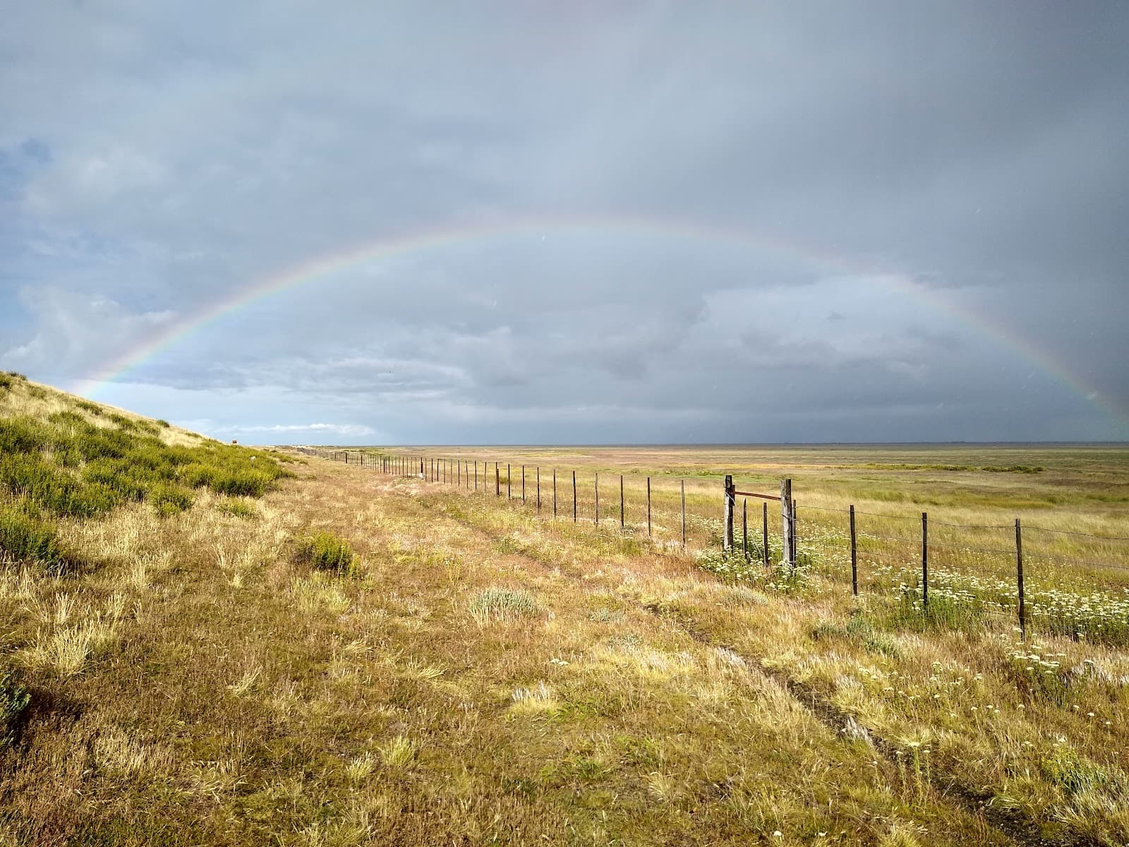 Reserva Costera Urbana del Estuario - Image 1