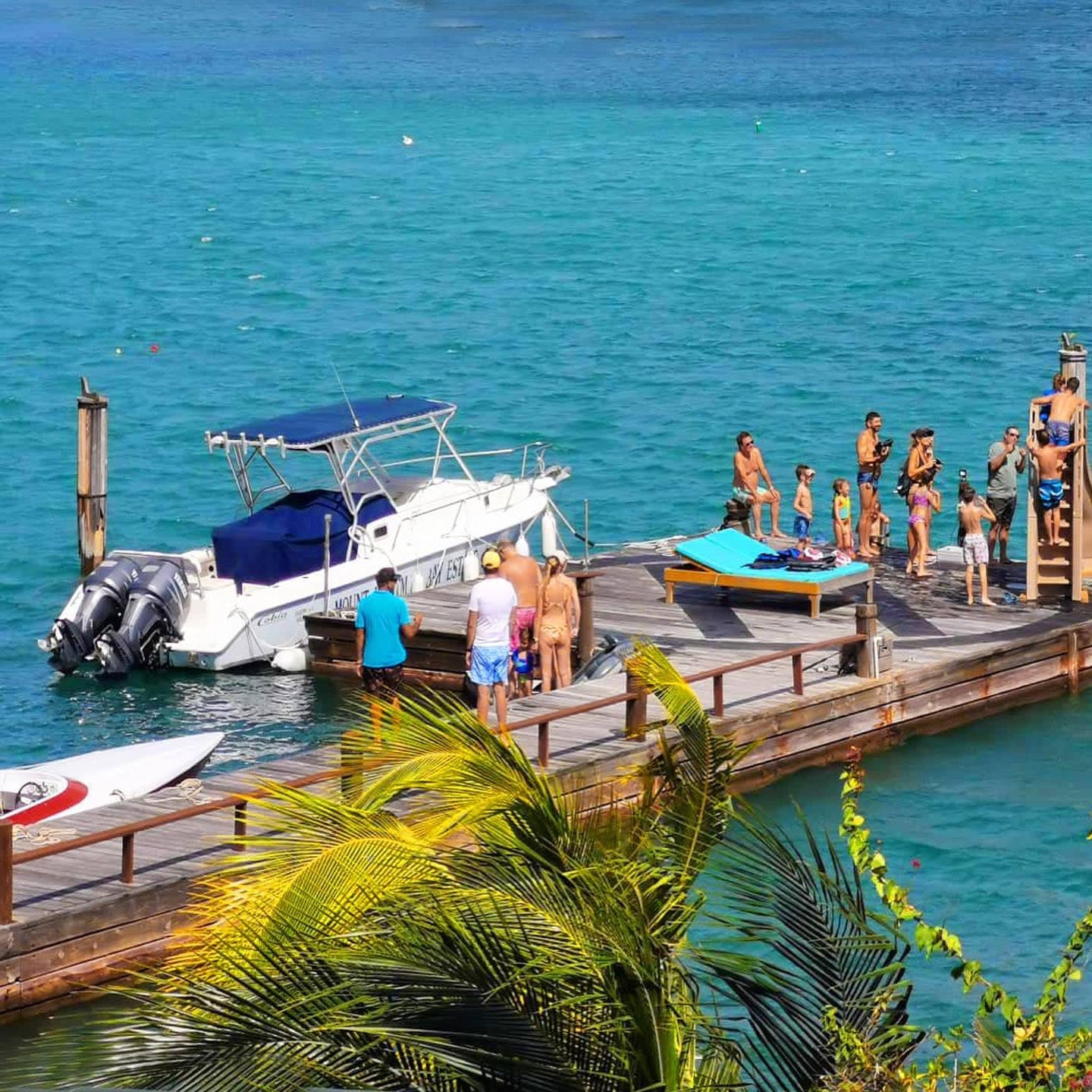 Abundant Wildlife Encounters