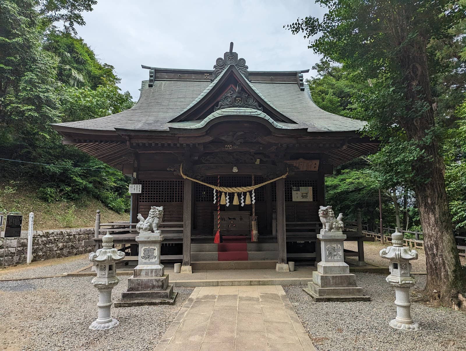 Vertical photo
