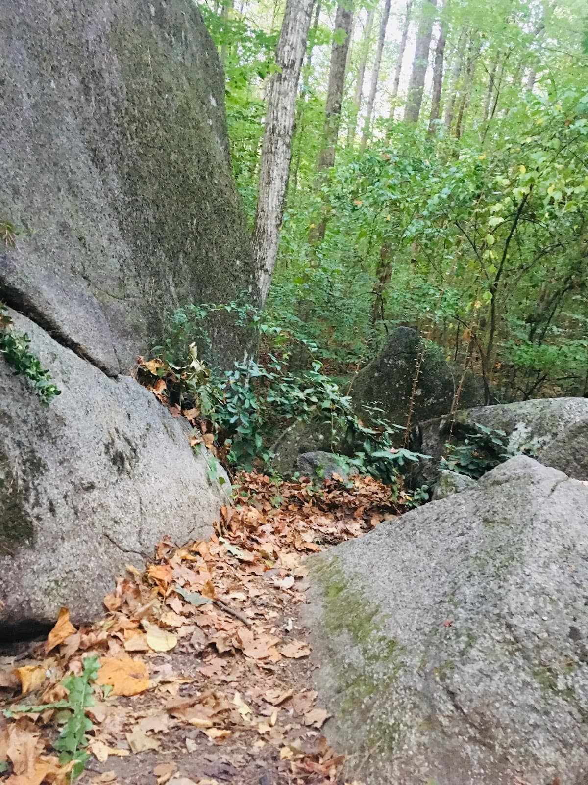 Utoy Creek Battlefield Park - Image 1
