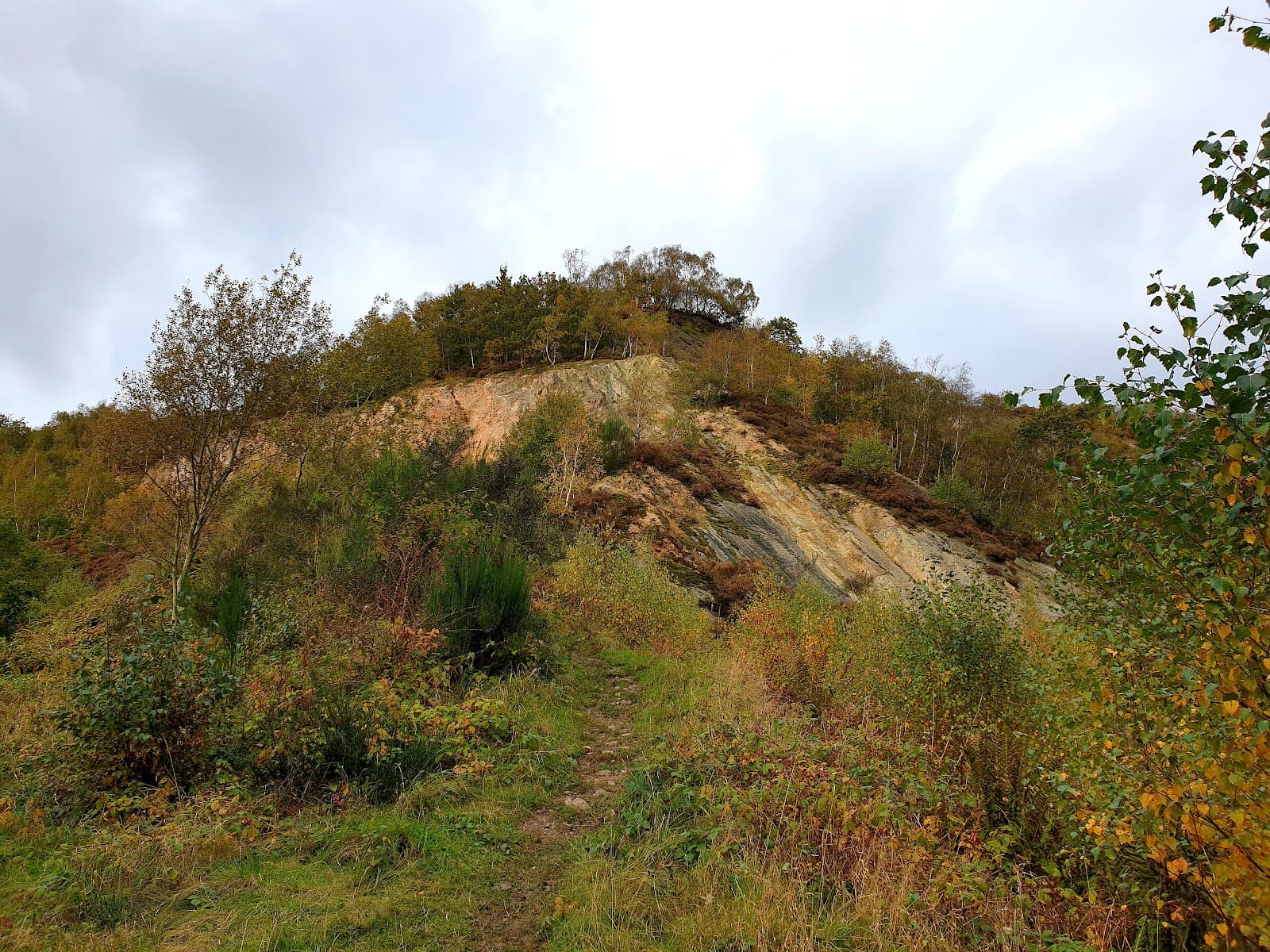 The Ercall Shropshire - Image 1