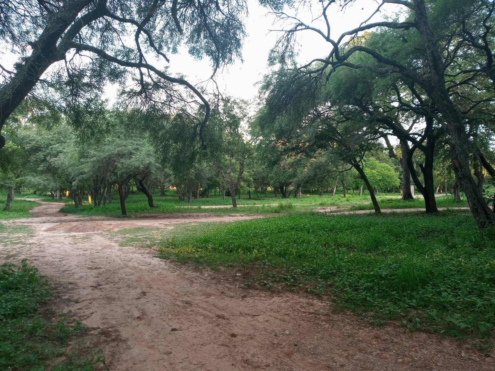 Picnic Paradise