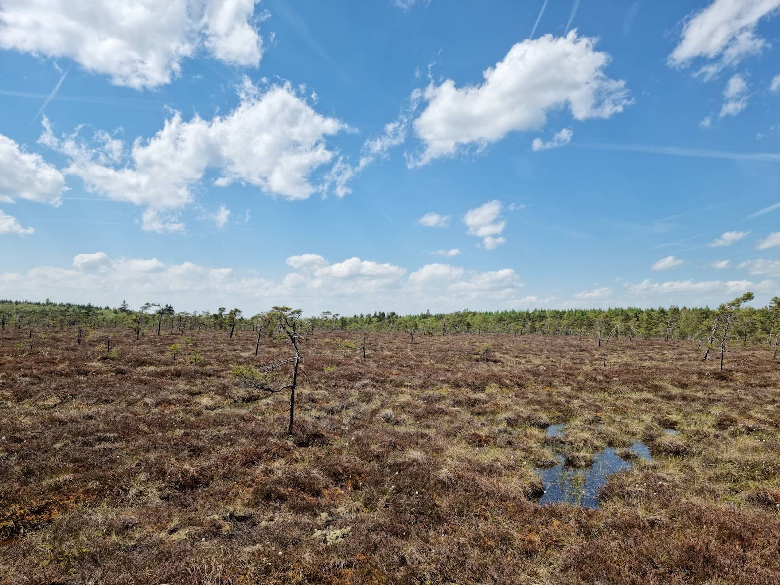 Educational Information Boards