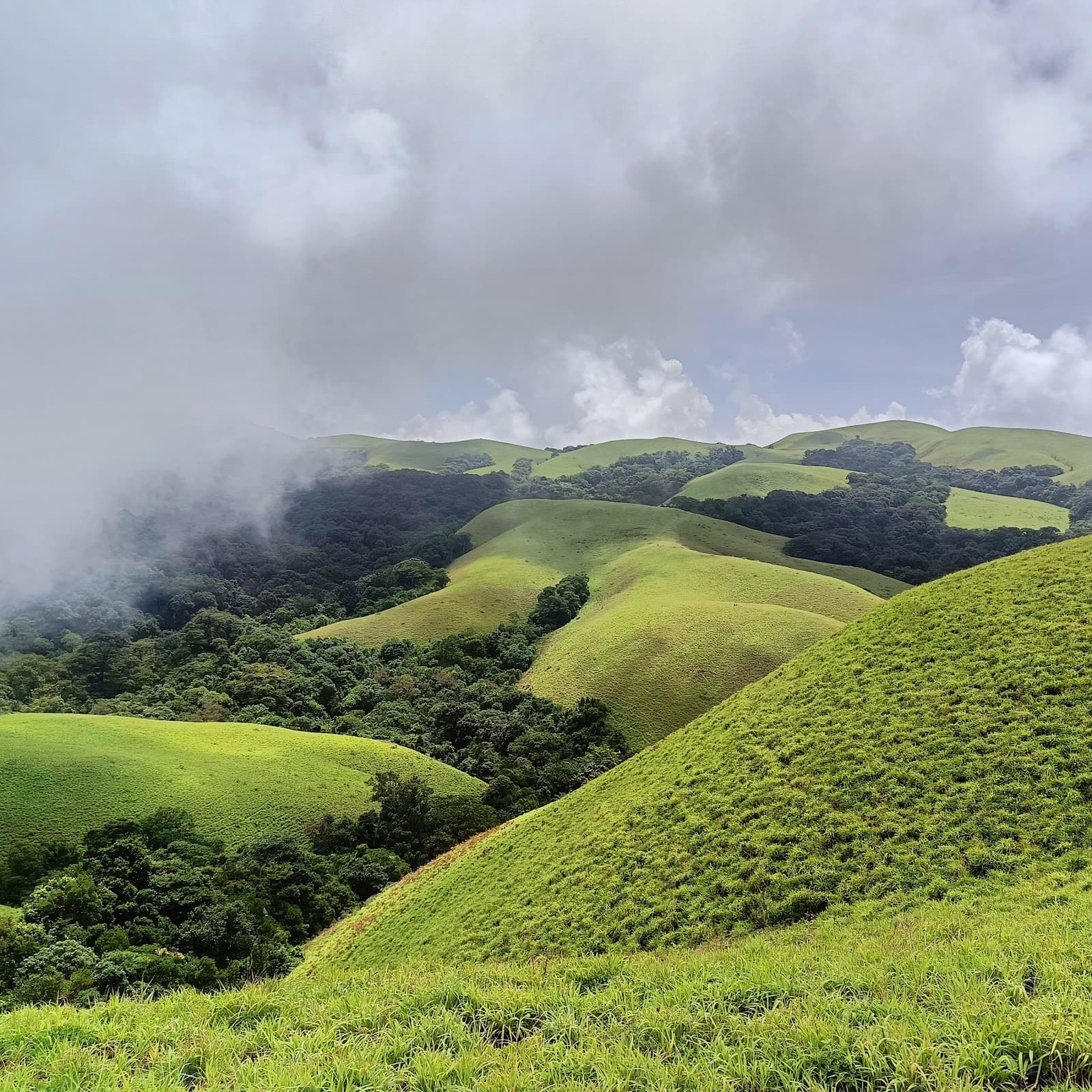 Bandaje Falls Trek - Image 1