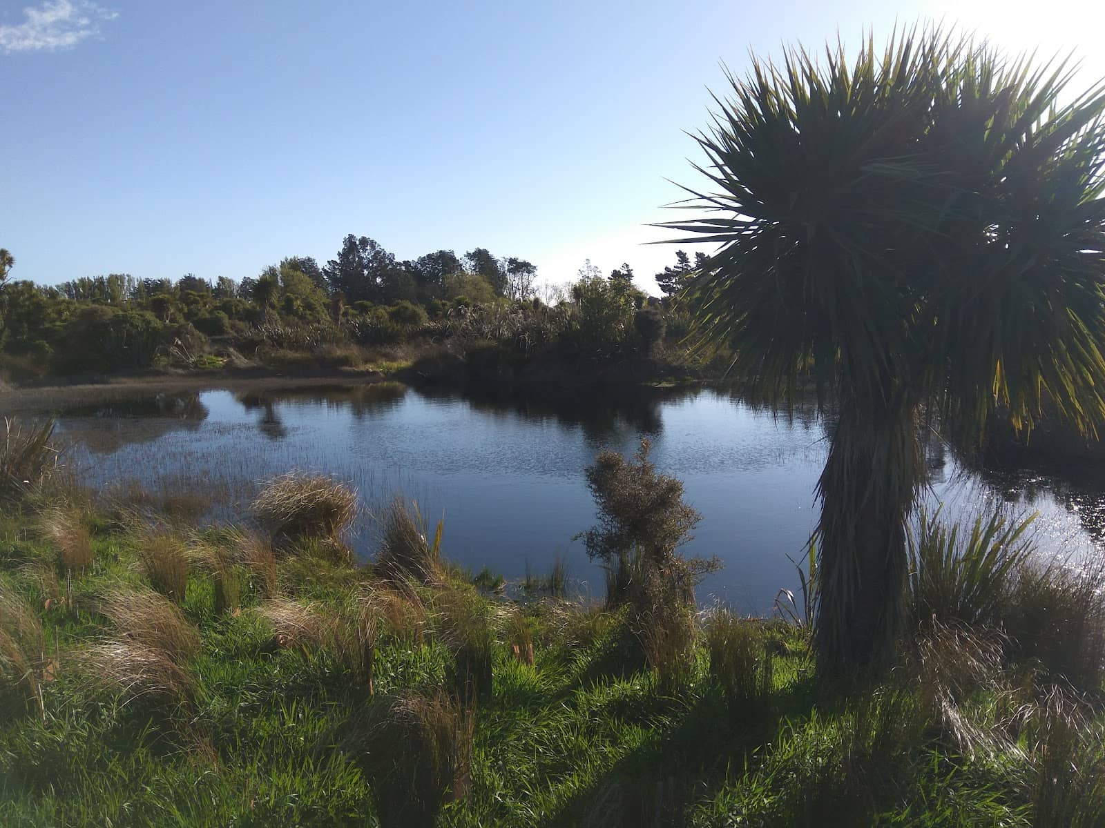 Scenic Views of Invercargill