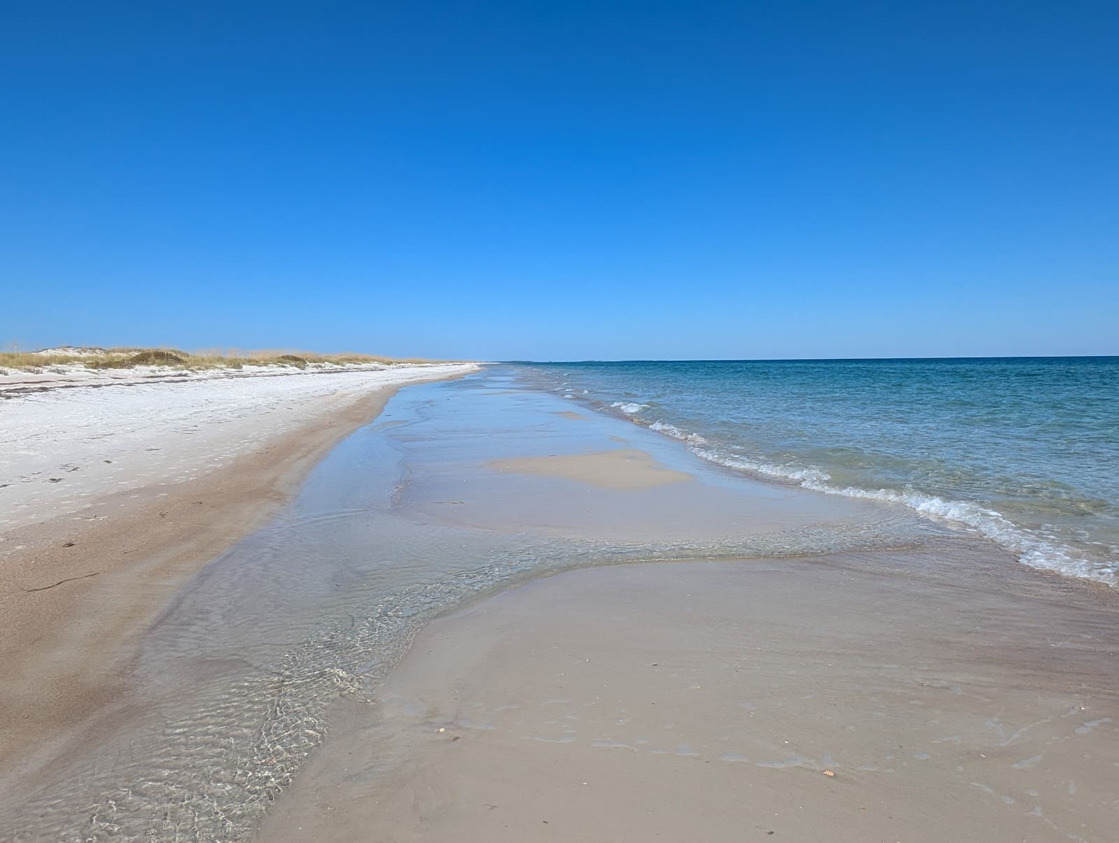 Dr. Julian G. Bruce St. George Island State Park - Image 1