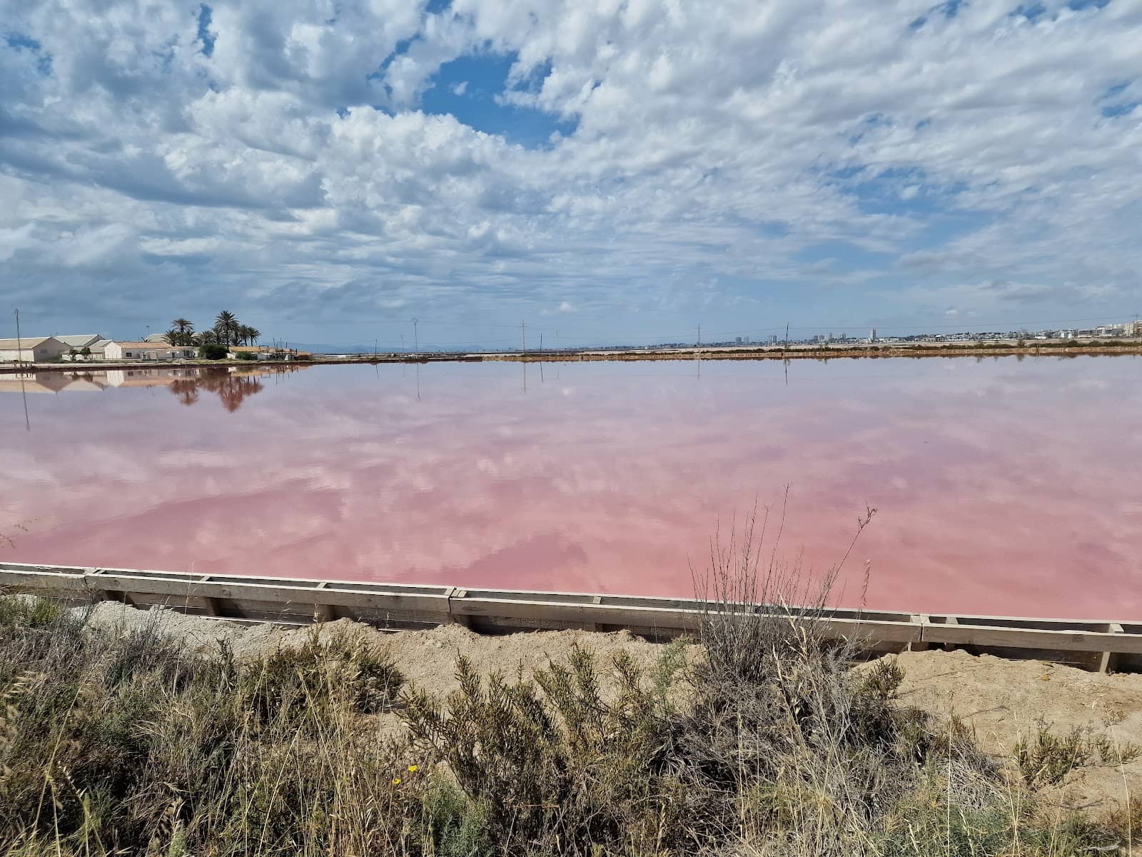 Wooden Walkways and Viewing Areas