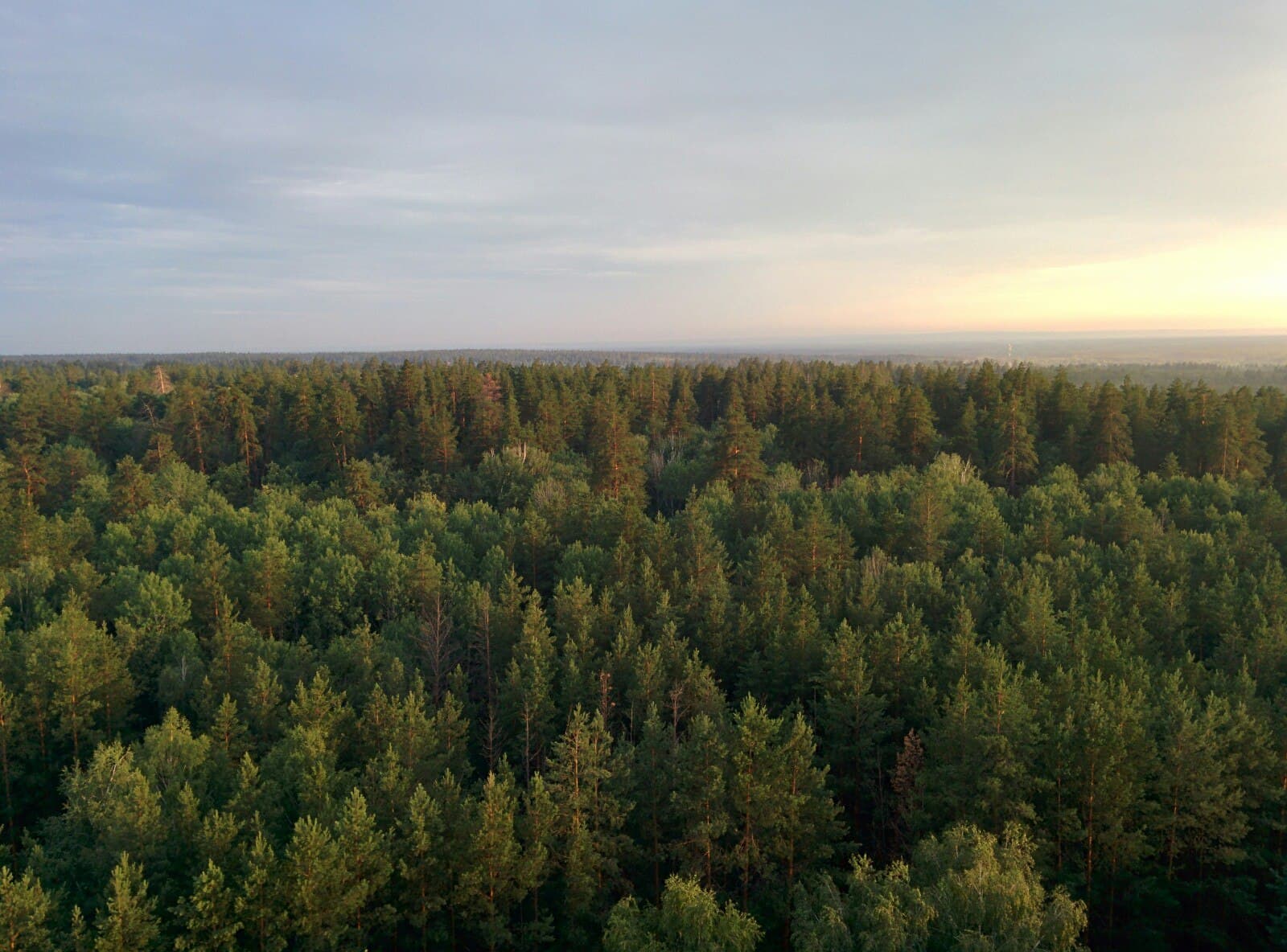 Buzuluksky Bor National Park (day trip) - Image 1
