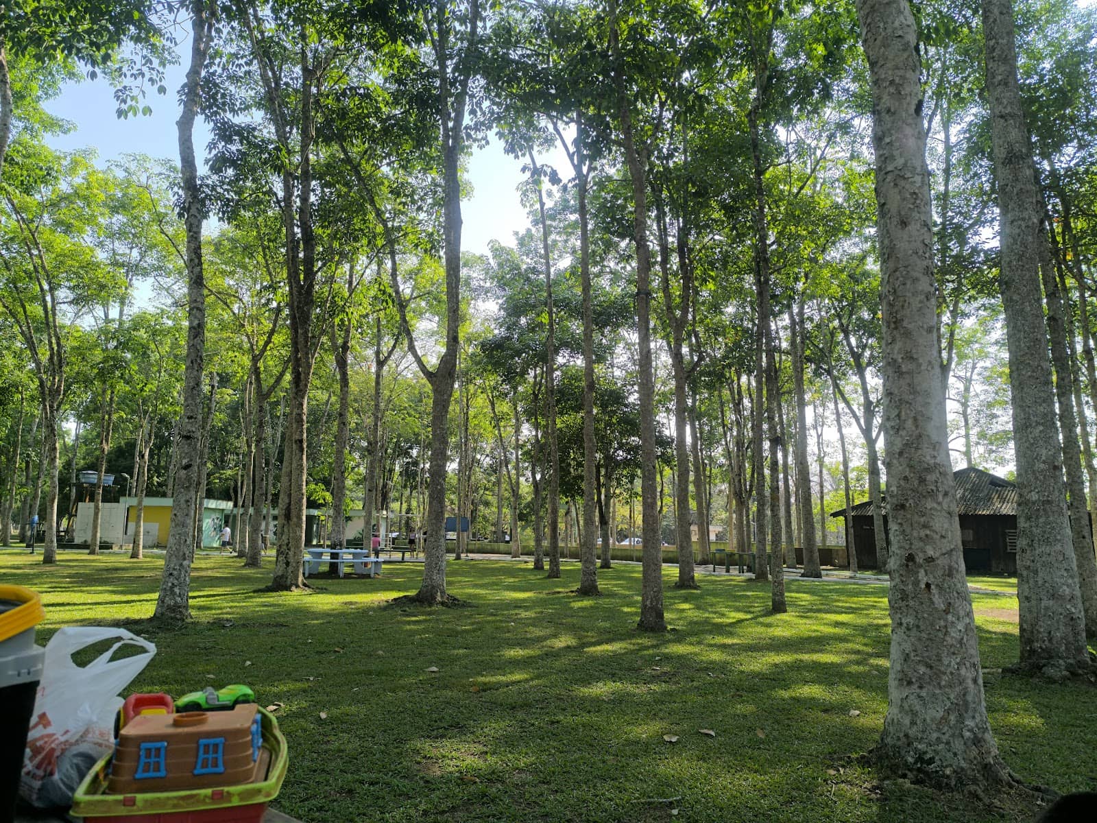 Refreshing Natural Air
