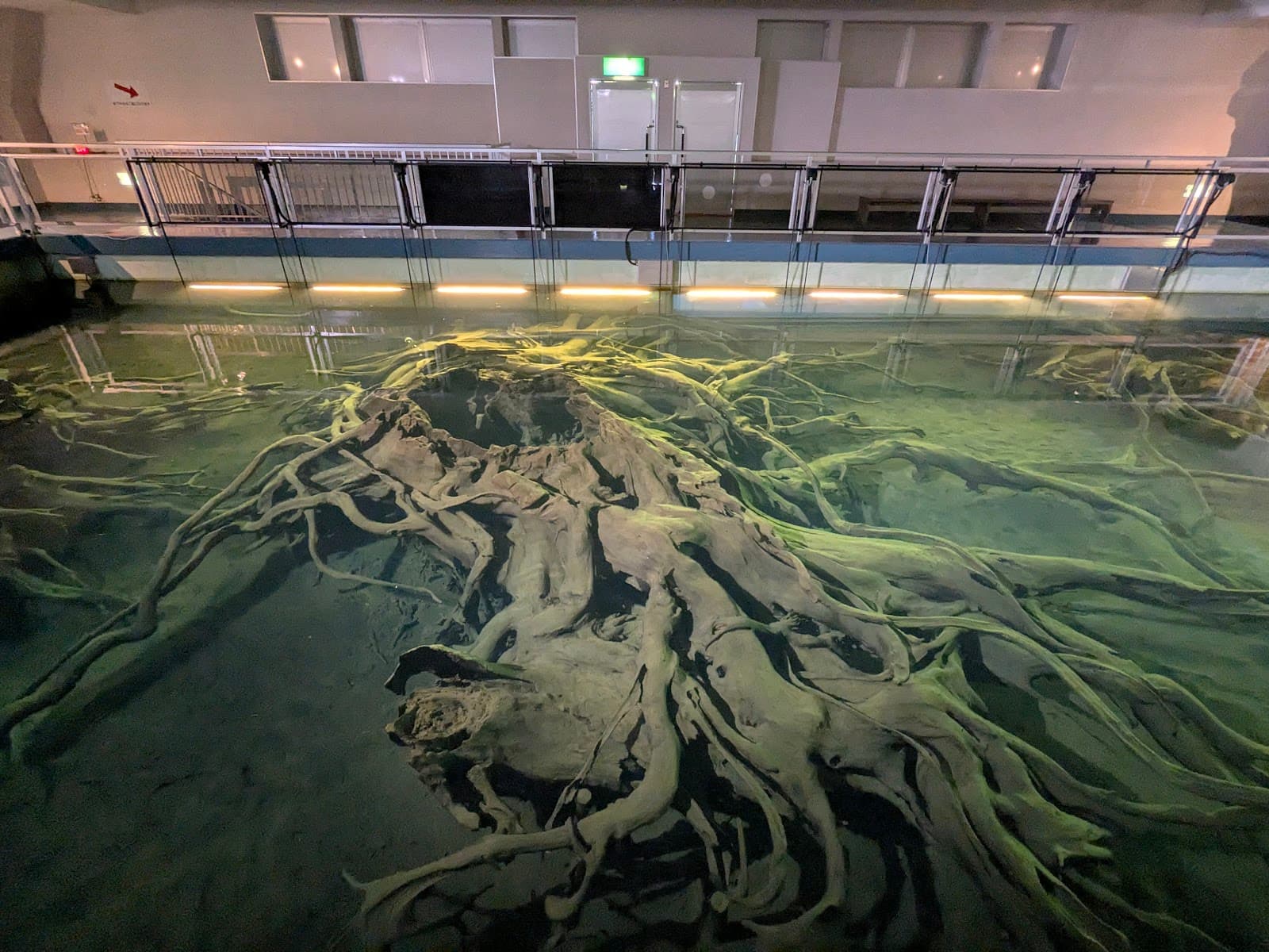 Uozu Buried Forest Museum - Image 1