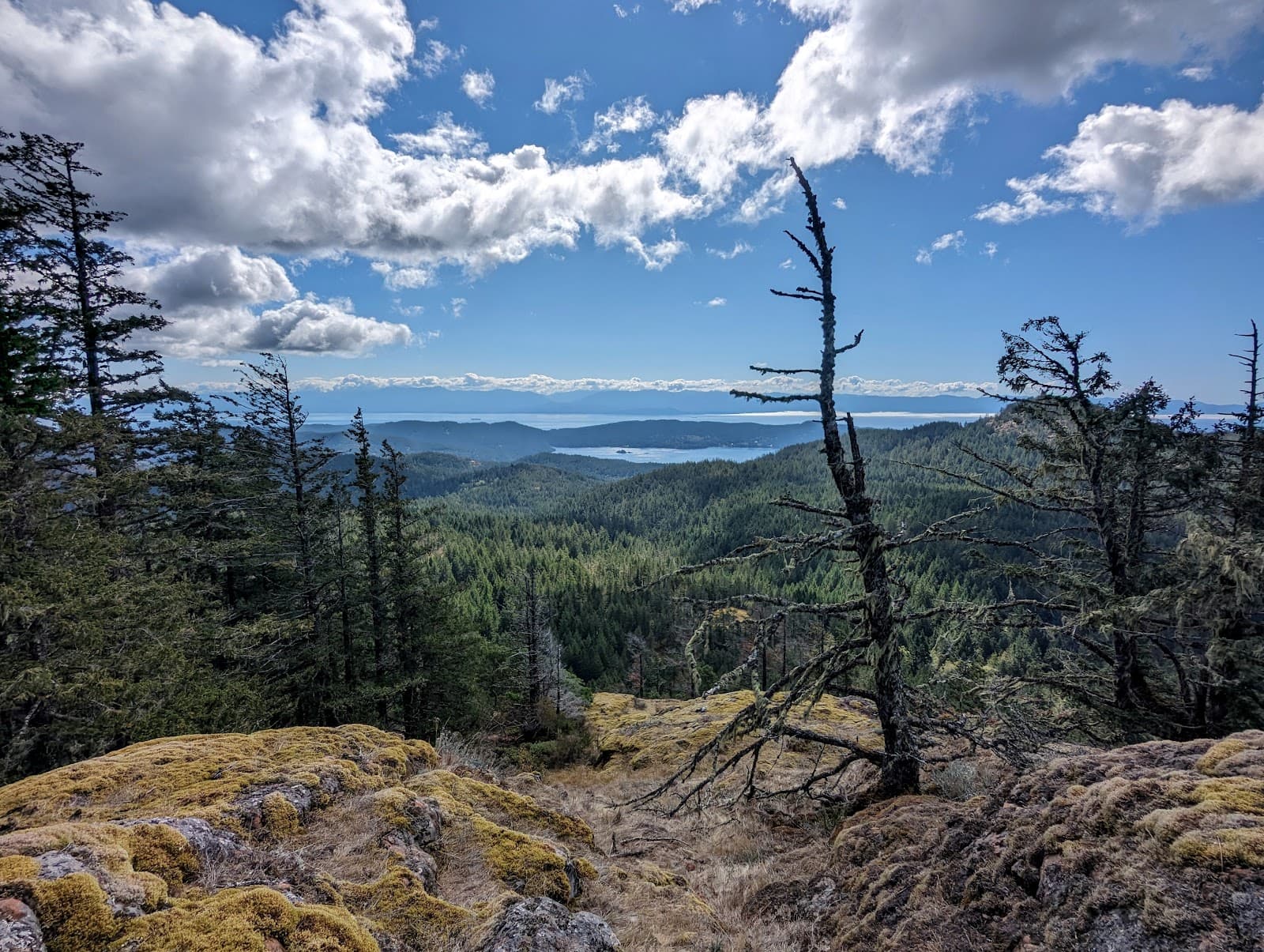 Sooke Mountain Provincial Park - Image 1
