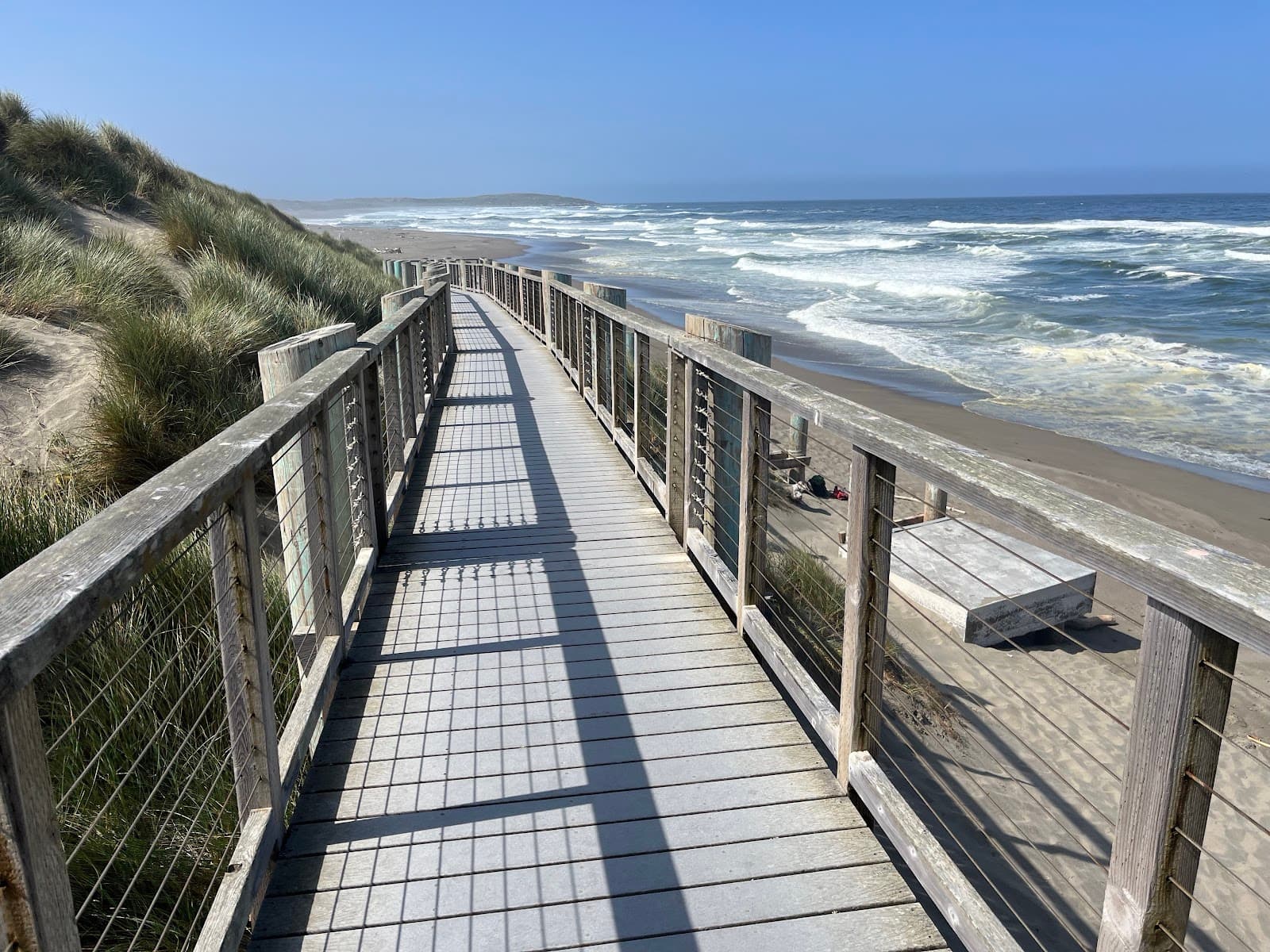 Bodega Dunes Campground - Image 1