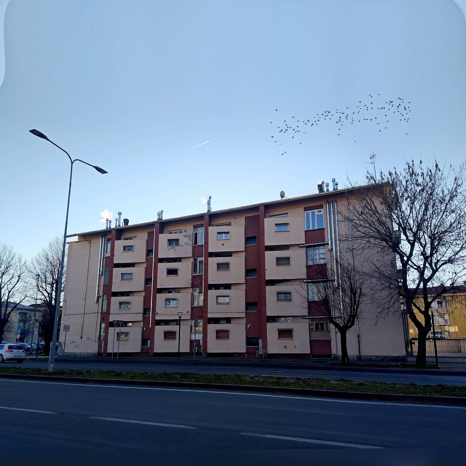 Vertical photo