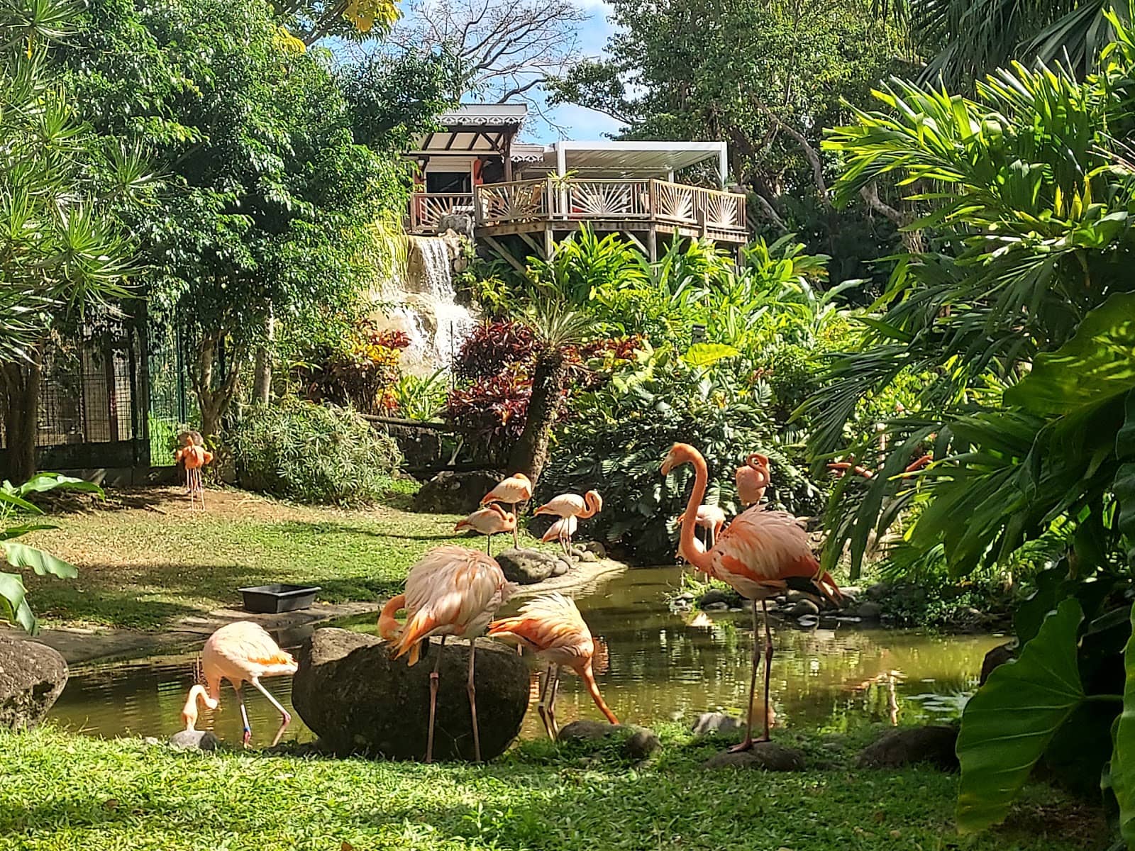 Water Features and Cascades