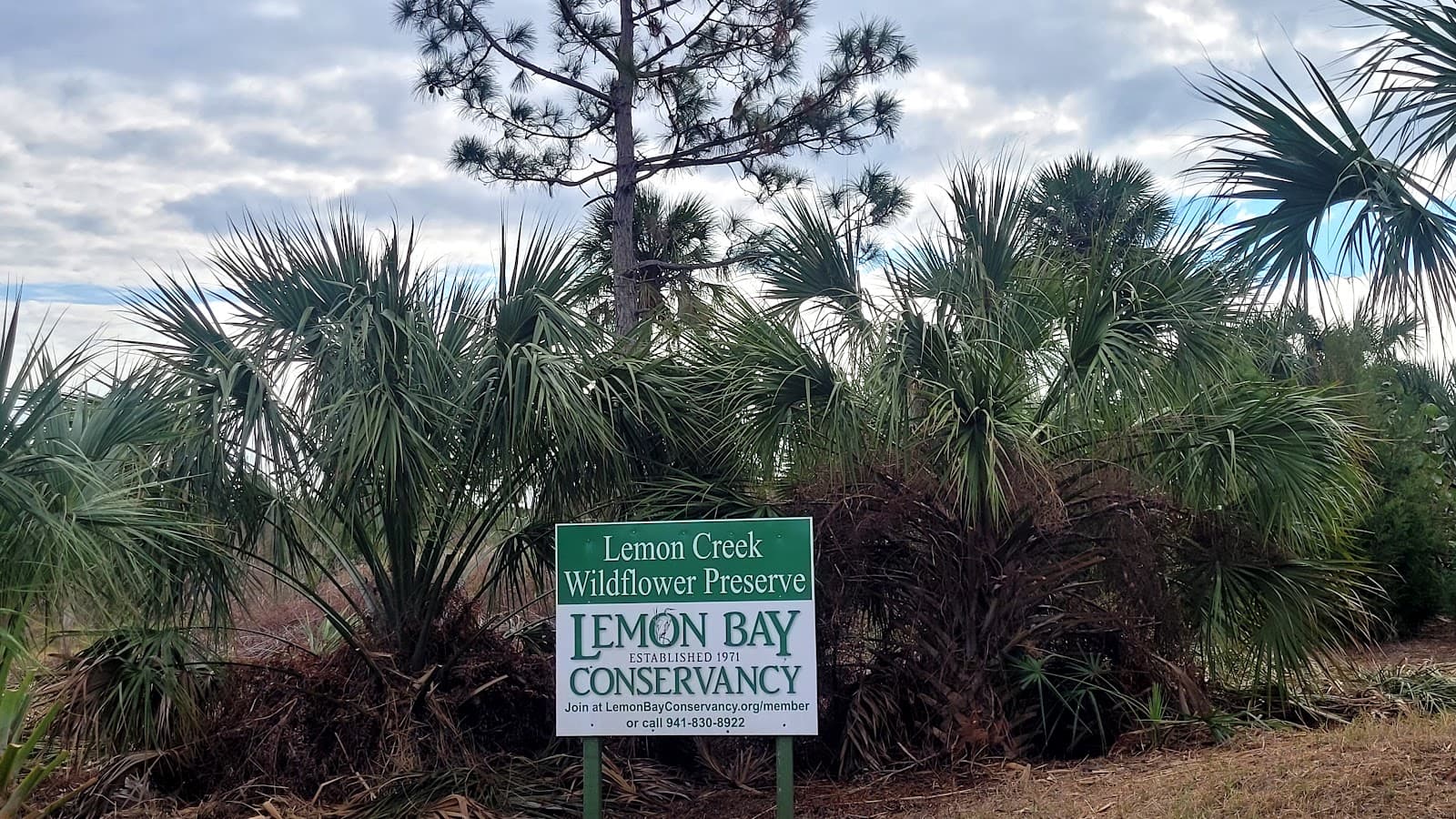 Lemon Creek Wildflower Preserve - Image 1