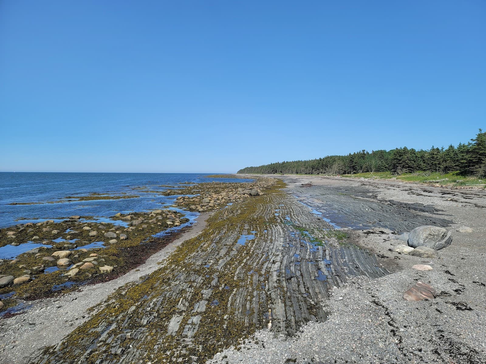 Île Saint-Barnabé Rimouski - Image 1