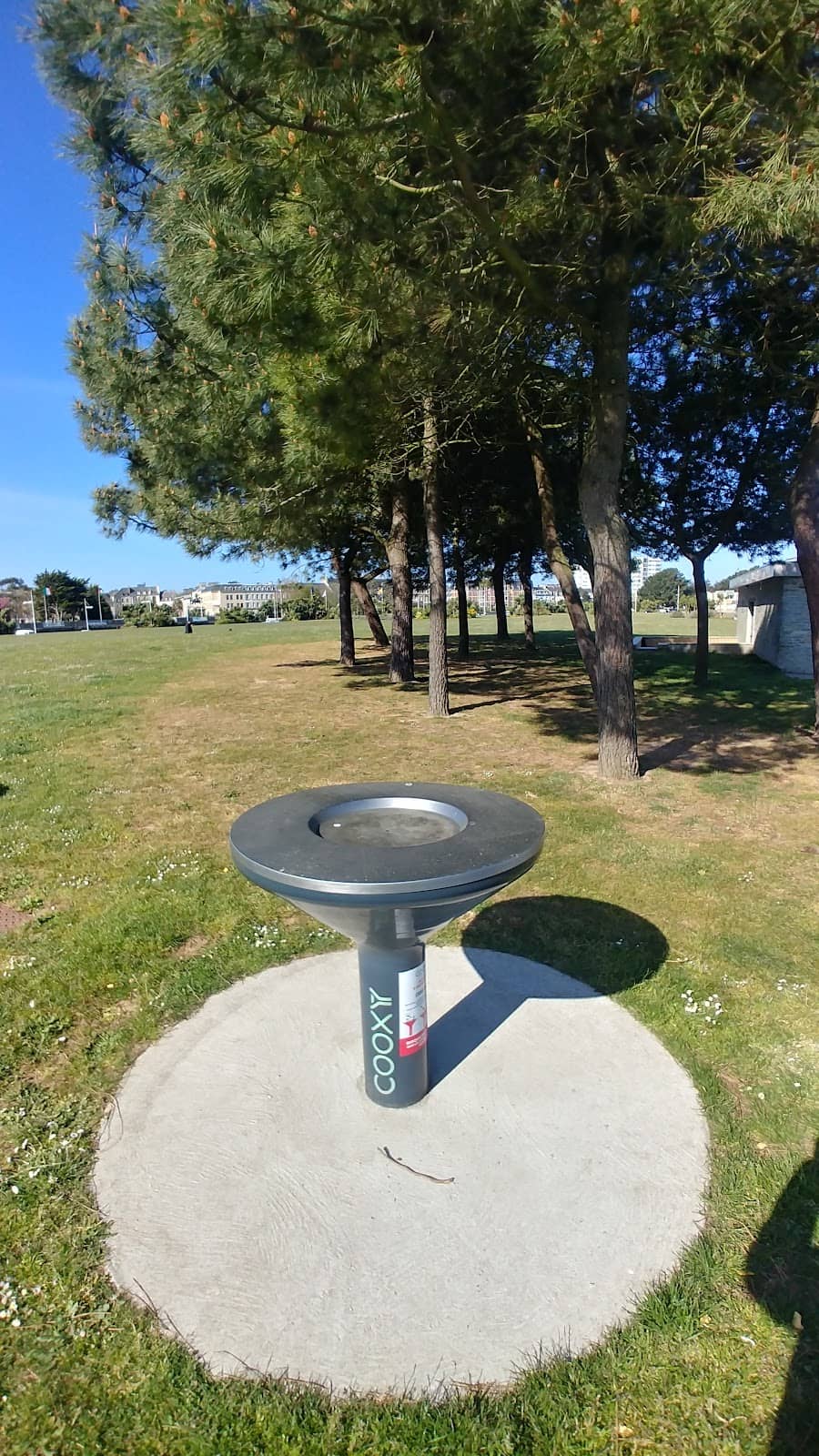 Vertical photo