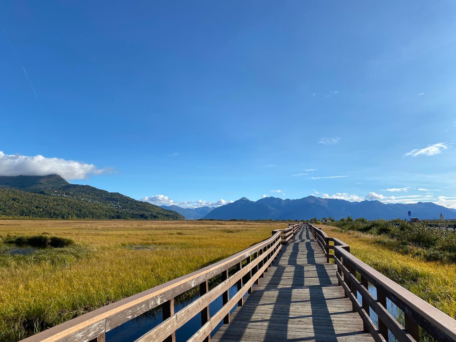 Anchorage Coastal Wildlife Refuge - Image 1