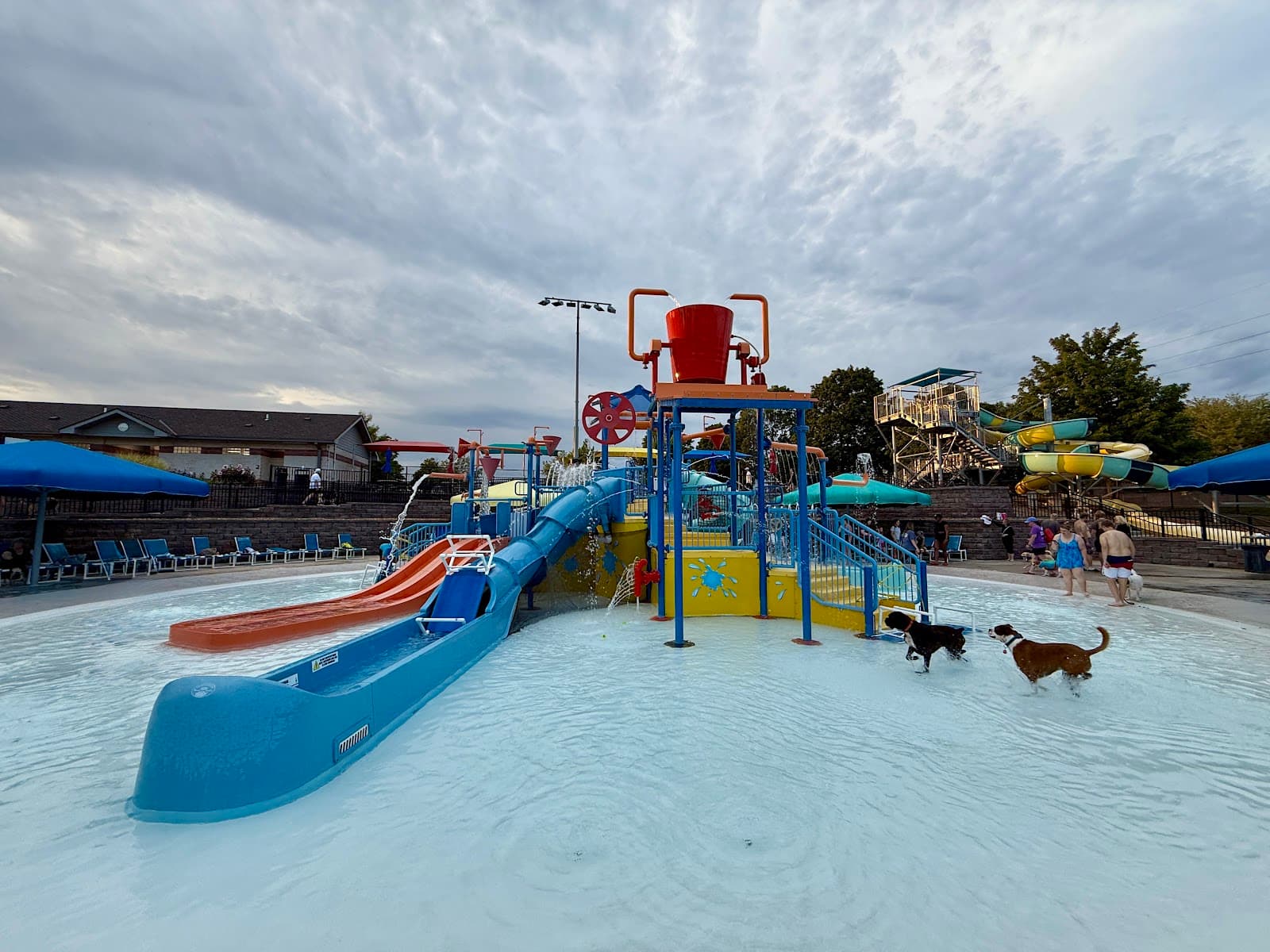 Wapelhorst Park (Aquatic Center) - Image 1