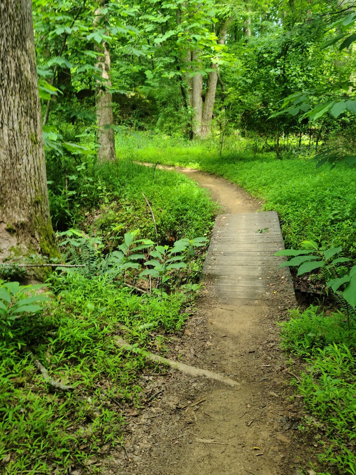 Owl's Roost Trail - Image 1