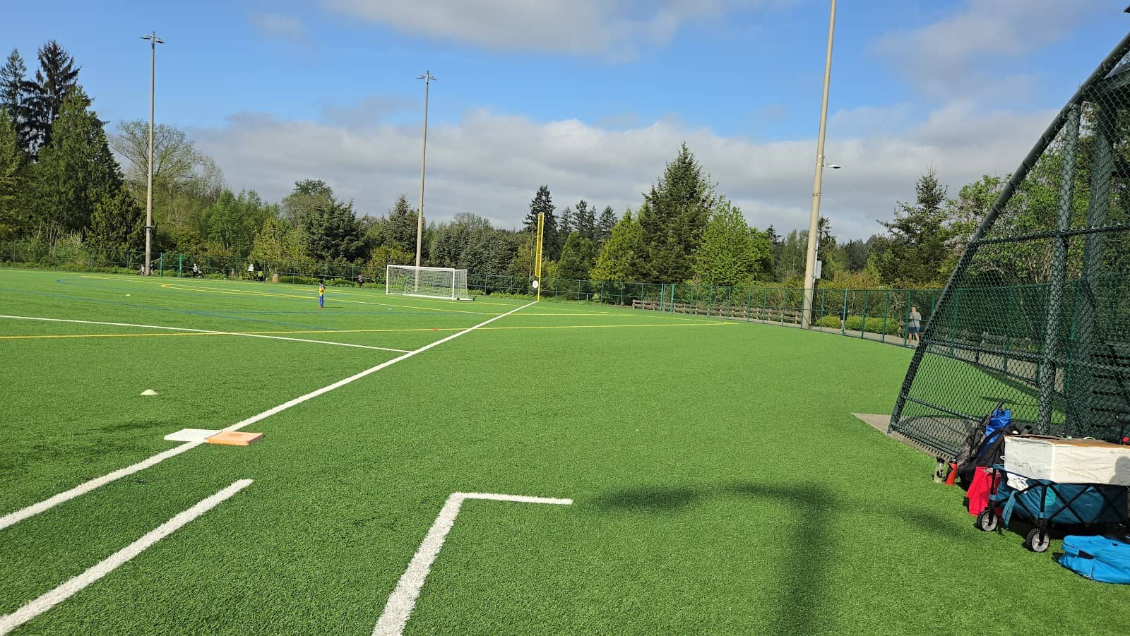 Well-Maintained Courts