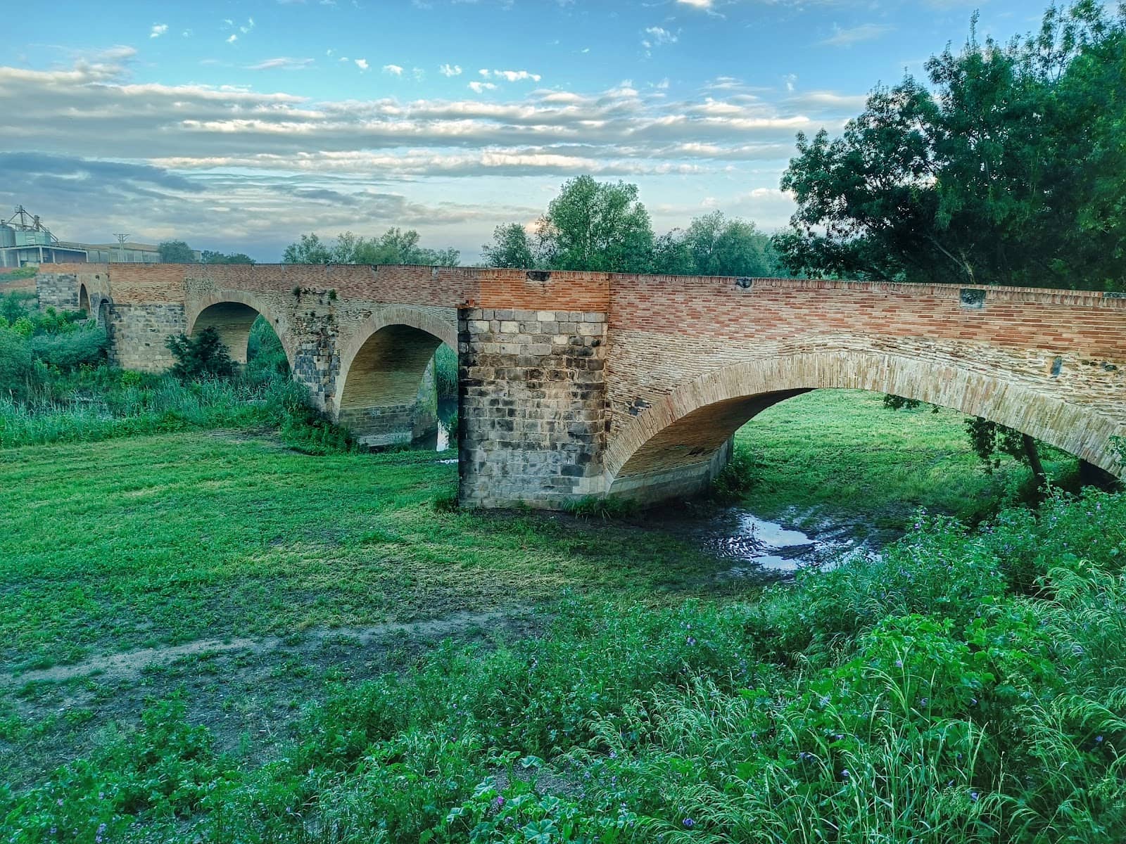 Medieval Charm