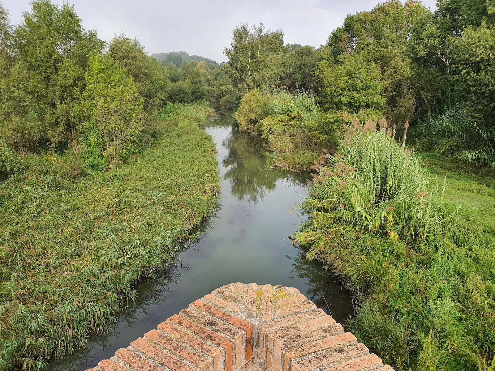 Vertical photo